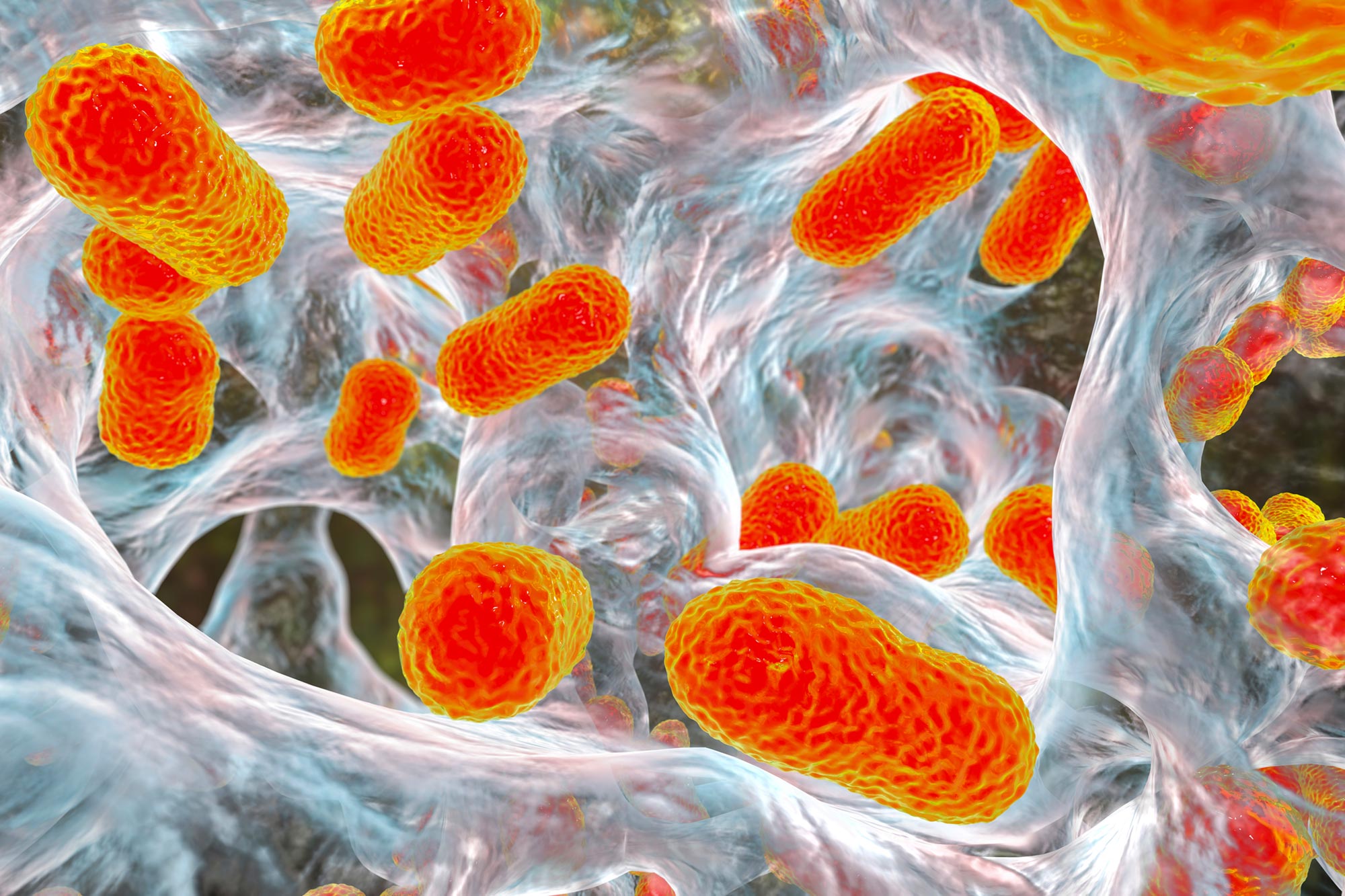 Ce sucre caché pourrait aider à vaincre les superbactéries