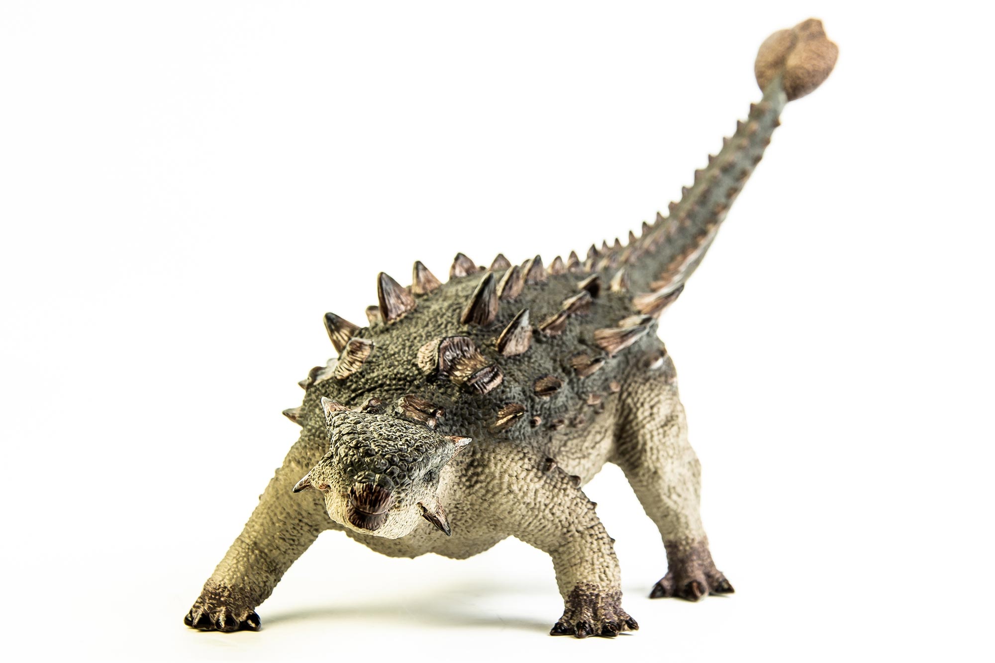 Le dinosaure blindé préhistorique nouvellement découvert peut avoir pu creuser