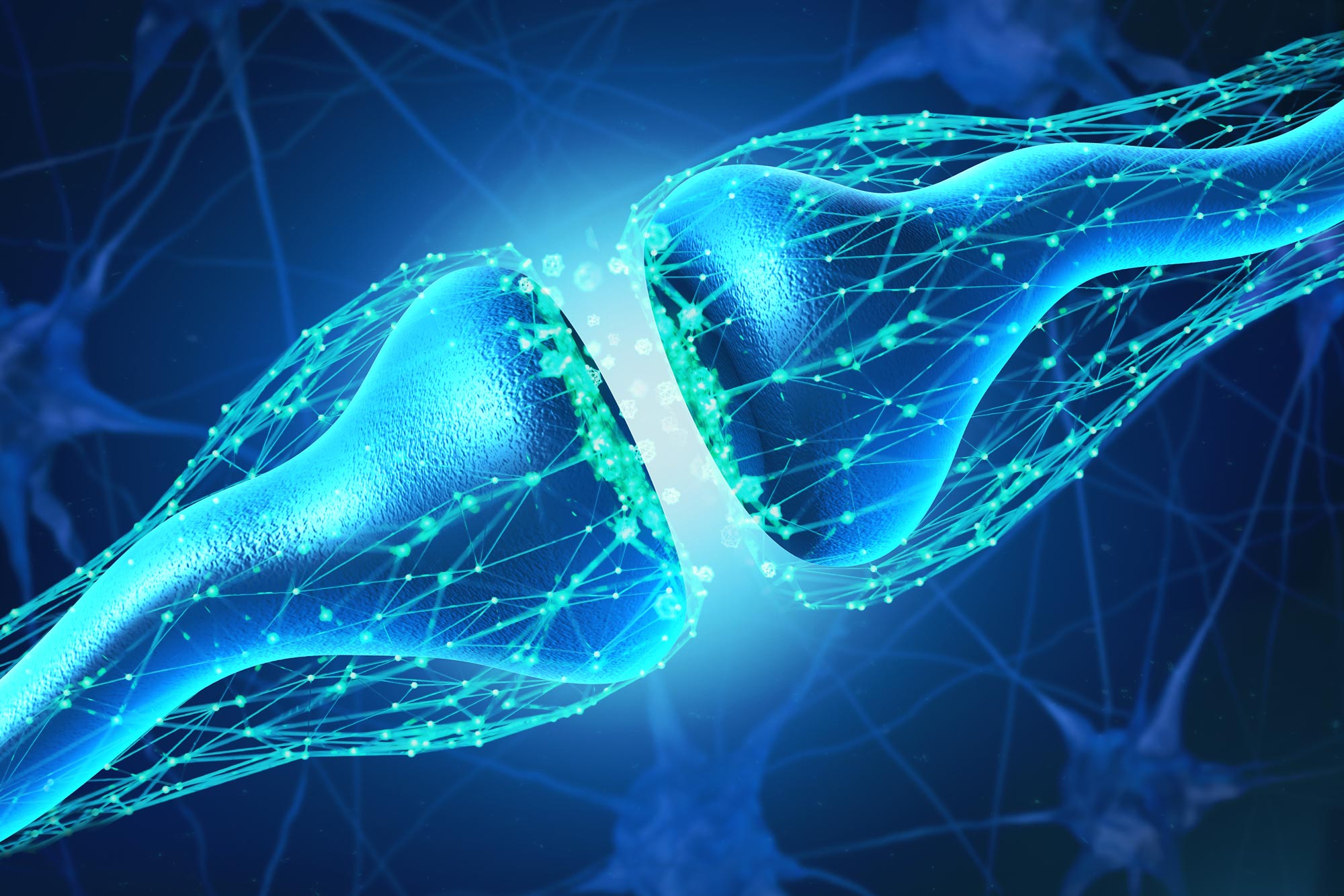 Synapse artificielle qui fonctionne avec des cellules vivantes développées à Stanford