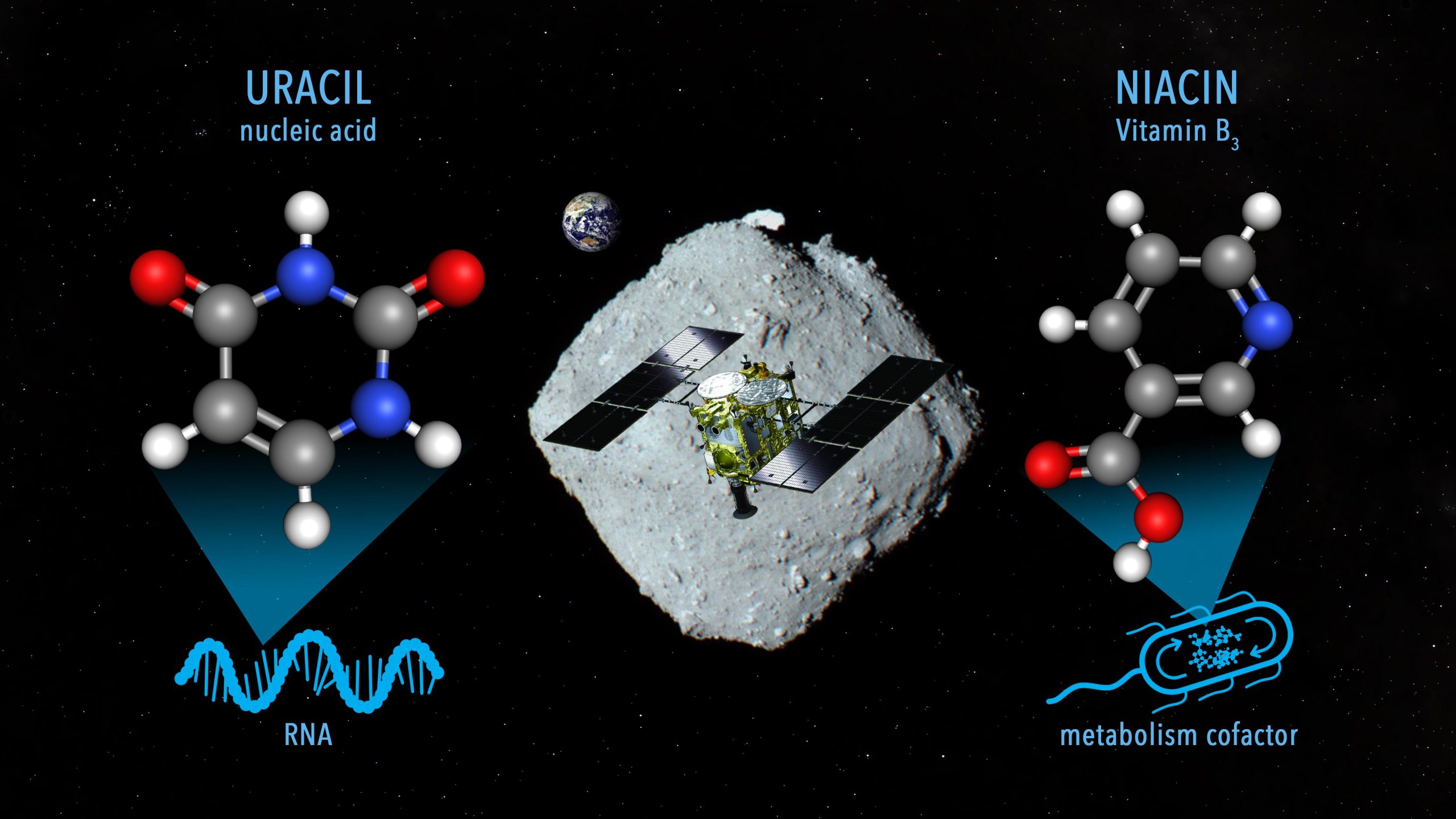 Composant de l'ARN trouvé dans les échantillons d'astéroïdes Ryugu