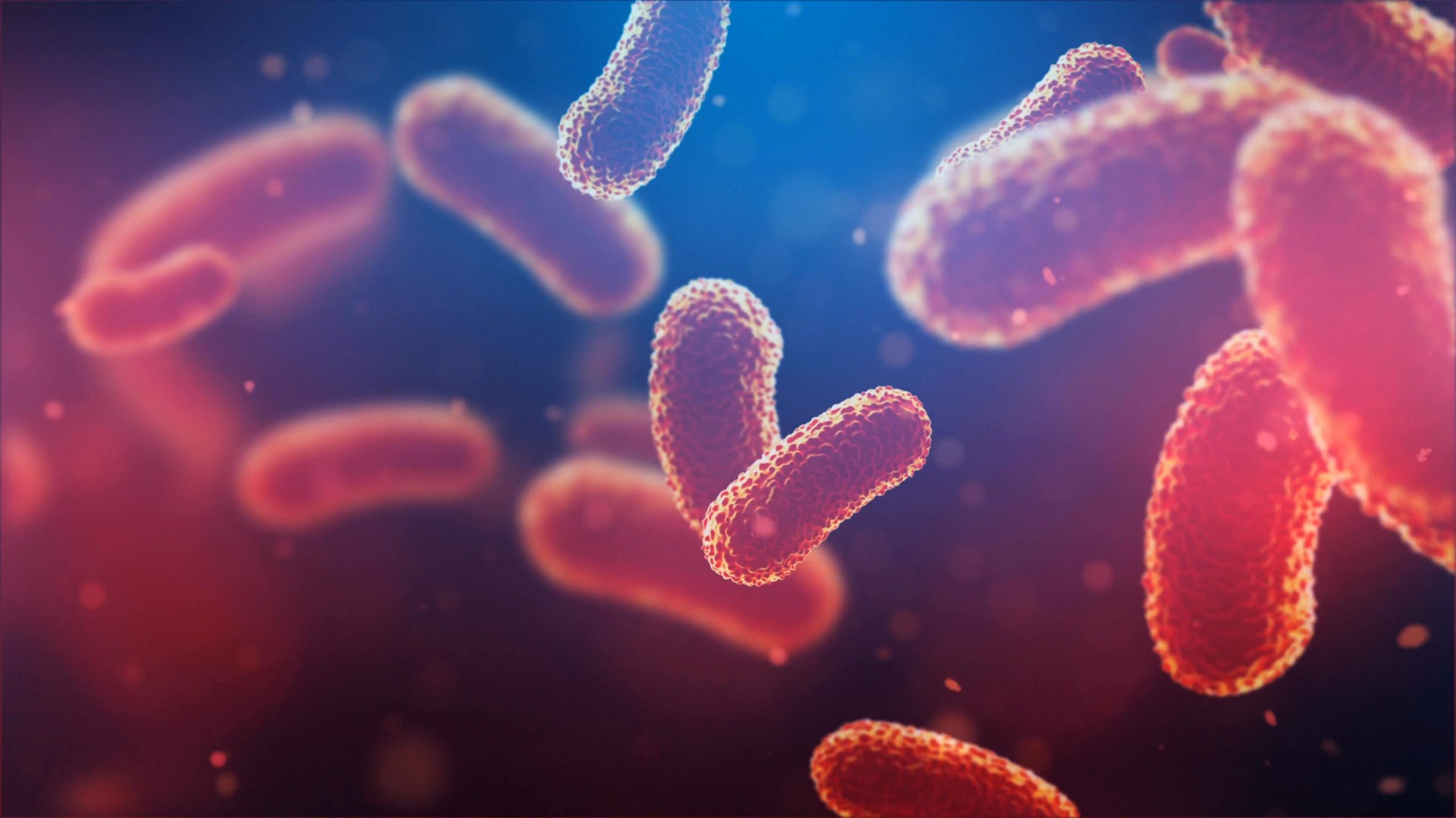 Réécrire des manuels de base de la biologie: les scientifiques révèlent un secret derrière la production d'hydrogène des ancêtres microbiens humains