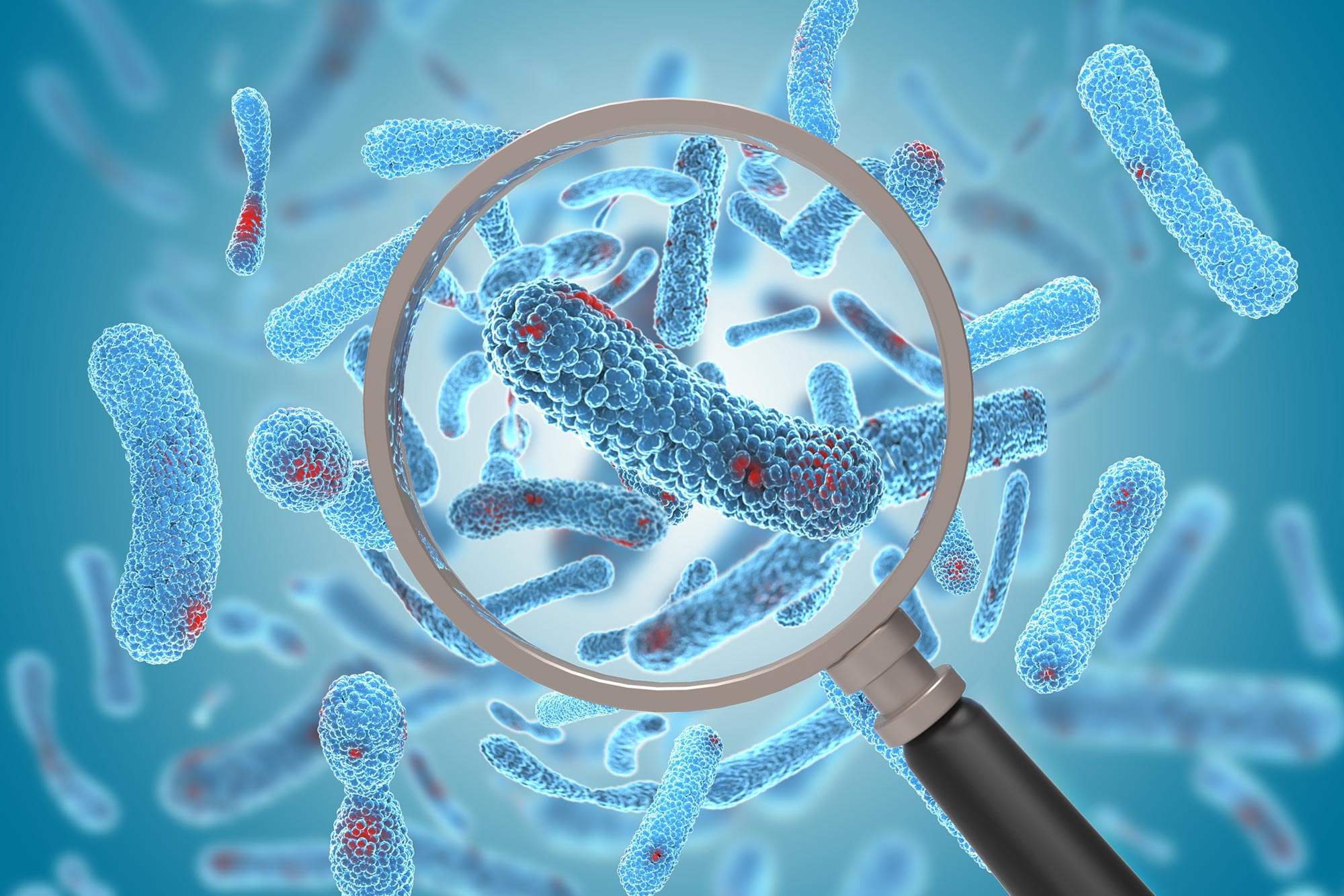 Les chercheurs ont peut-être percé le secret du traitement de la septicémie