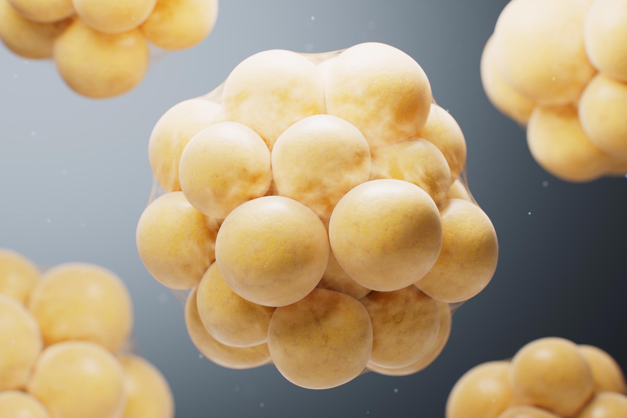 Des scientifiques résolvent un mystère tissulaire vieux de 50 ans ayant des implications majeures sur le cancer