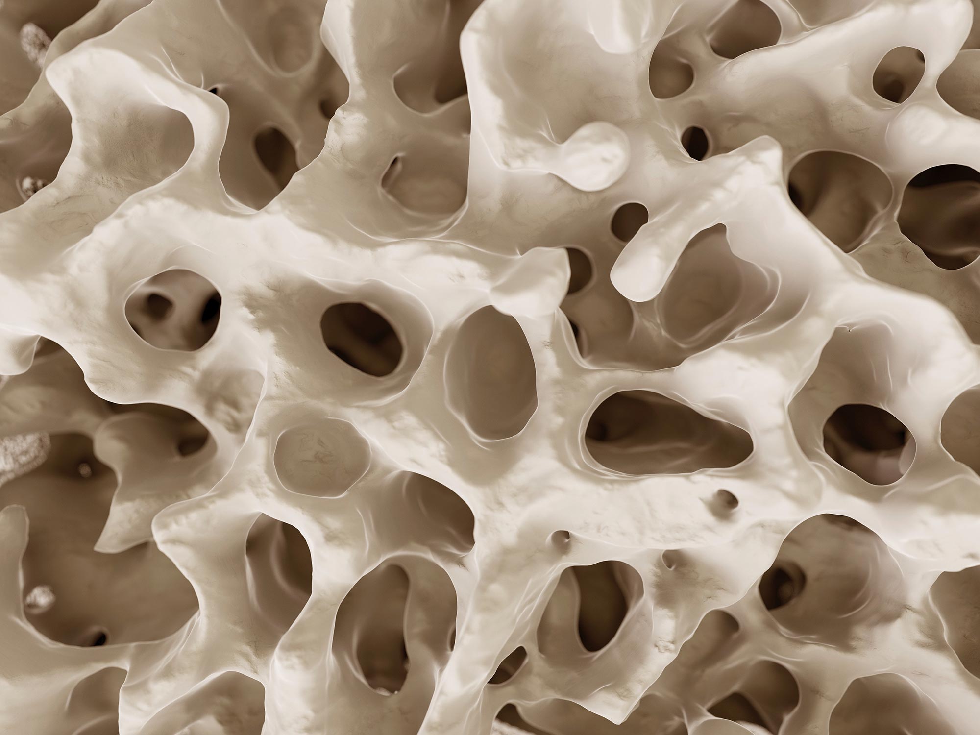 Les batteries imitent la géométrie multicouche des os des mammifères pour la stabilité structurelle