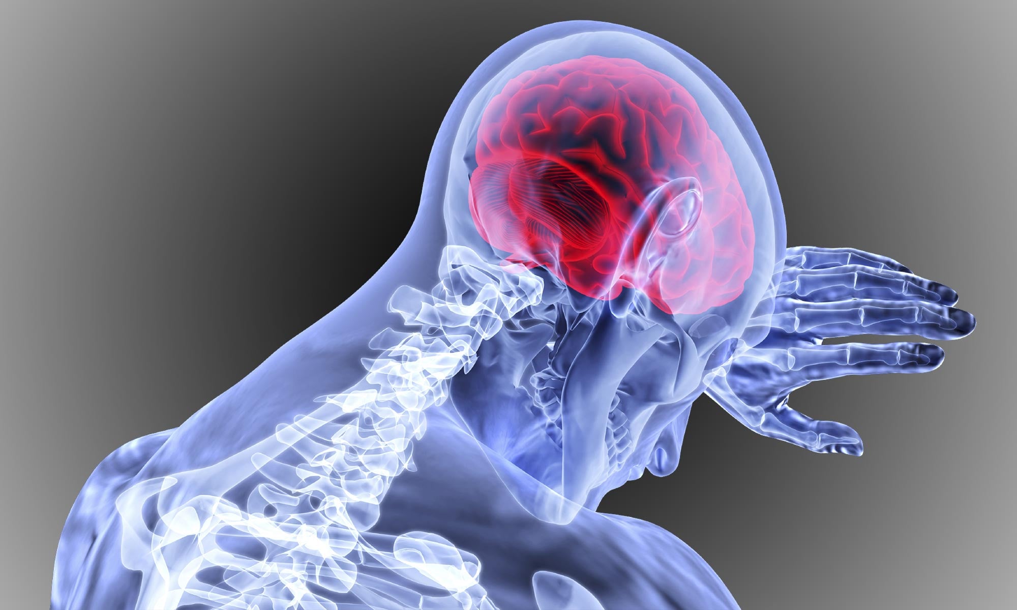 Le cerveau prend un battement à l'âge des artères