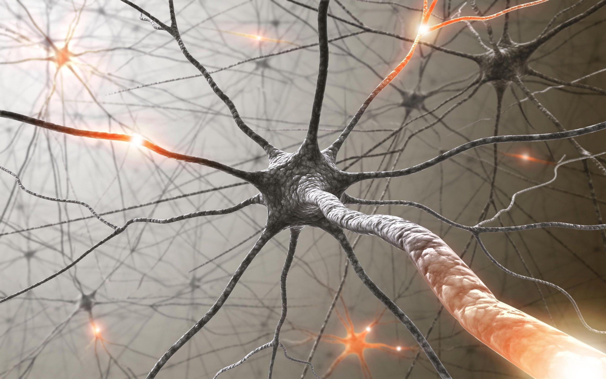 Messages enchevêtrés: tracer les circuits neuronaux du cerveau vers la «constellation des effets secondaires» de la chimiothérapie »
