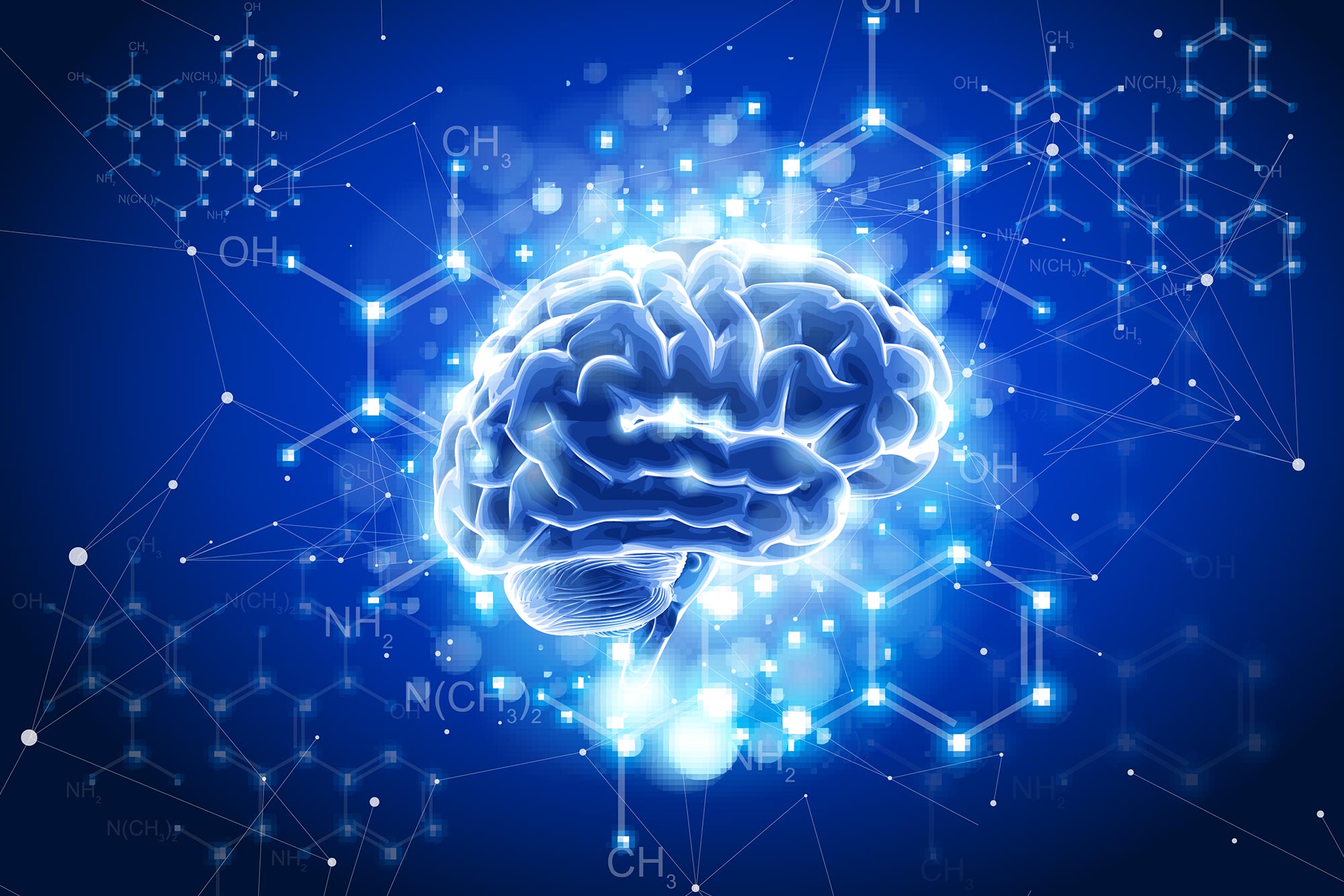 Les flavanols enfreignent les règles de la nutrition;: des scientifiques découvrent la manière surprenante dont ils stimulent le cerveau