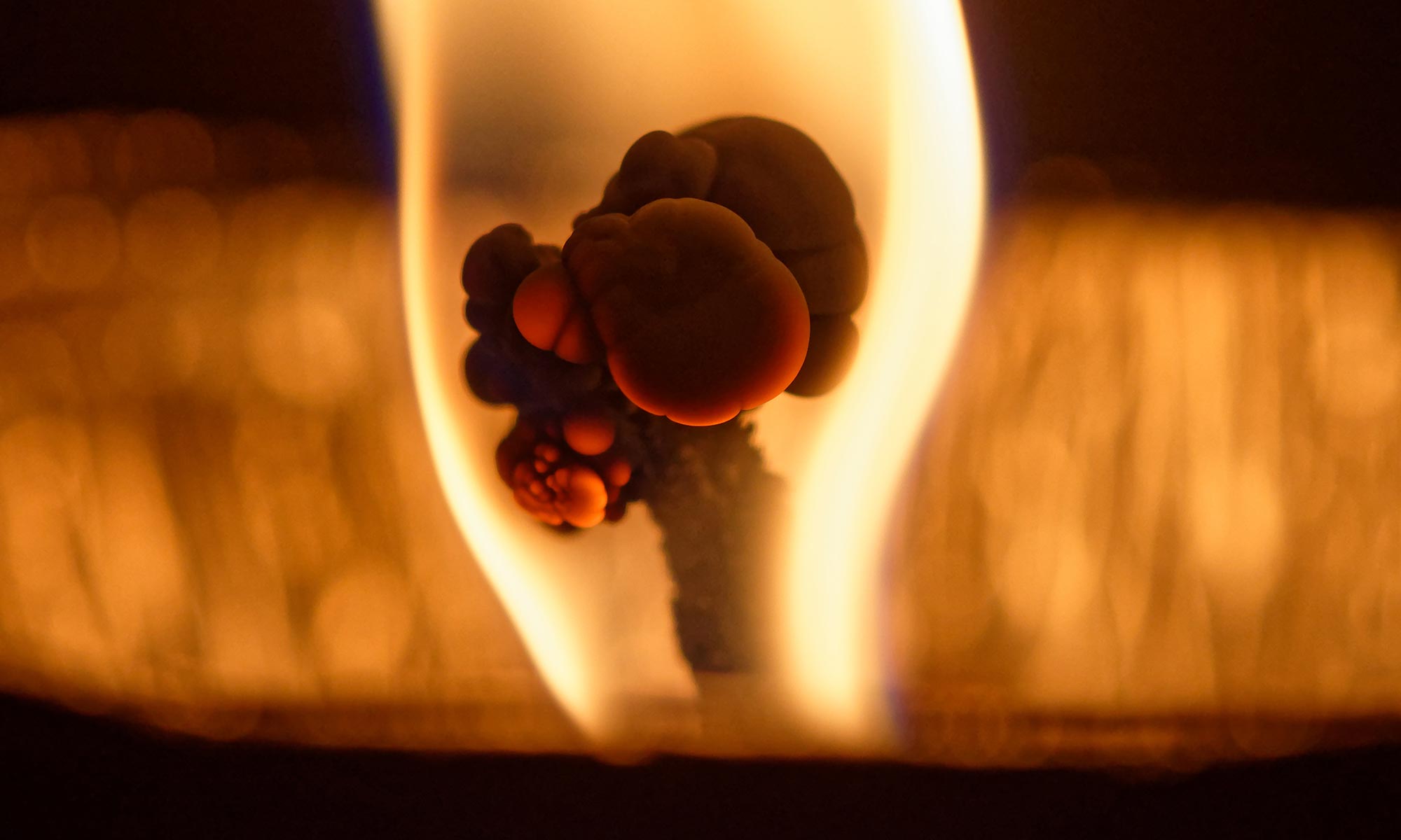 Le signal immunitaire favorise la production de «graisses beige» qui pourraient réduire l'obésité