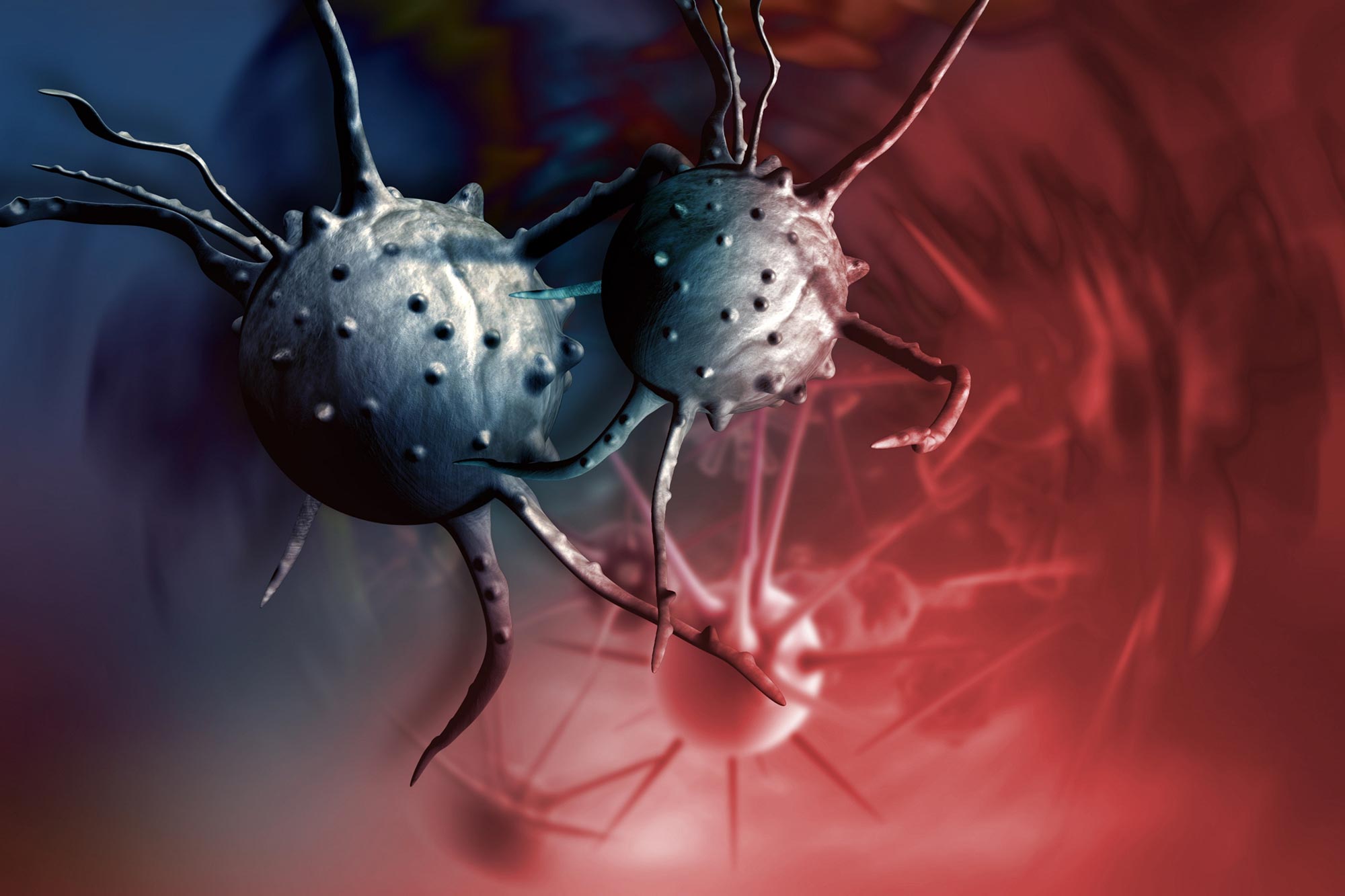 Comment le cancer se propage: les cellules cancéreuses peuvent migrer vers certains environnements «sweet spot»