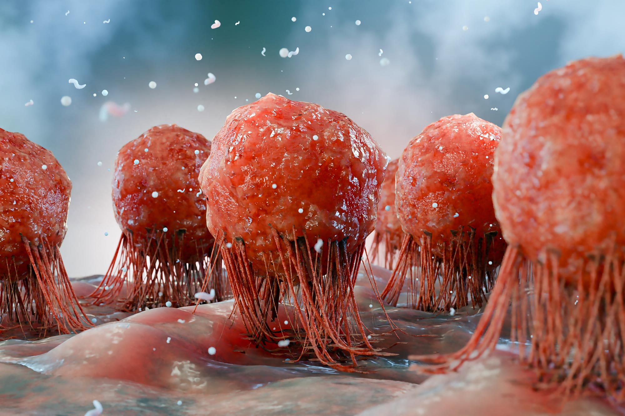 Les scientifiques découvrent que les tumeurs cancéreuses sont « accros » à cet antioxydant courant