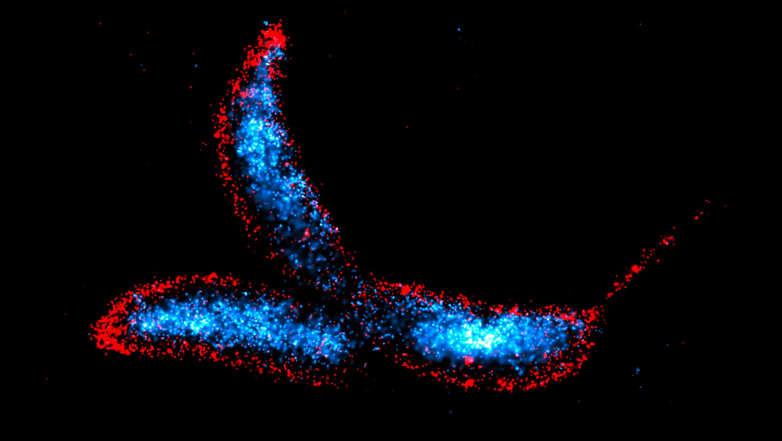 Les scientifiques découvrent le nouveau talon d'Achille de la paroi des cellules bactériennes
