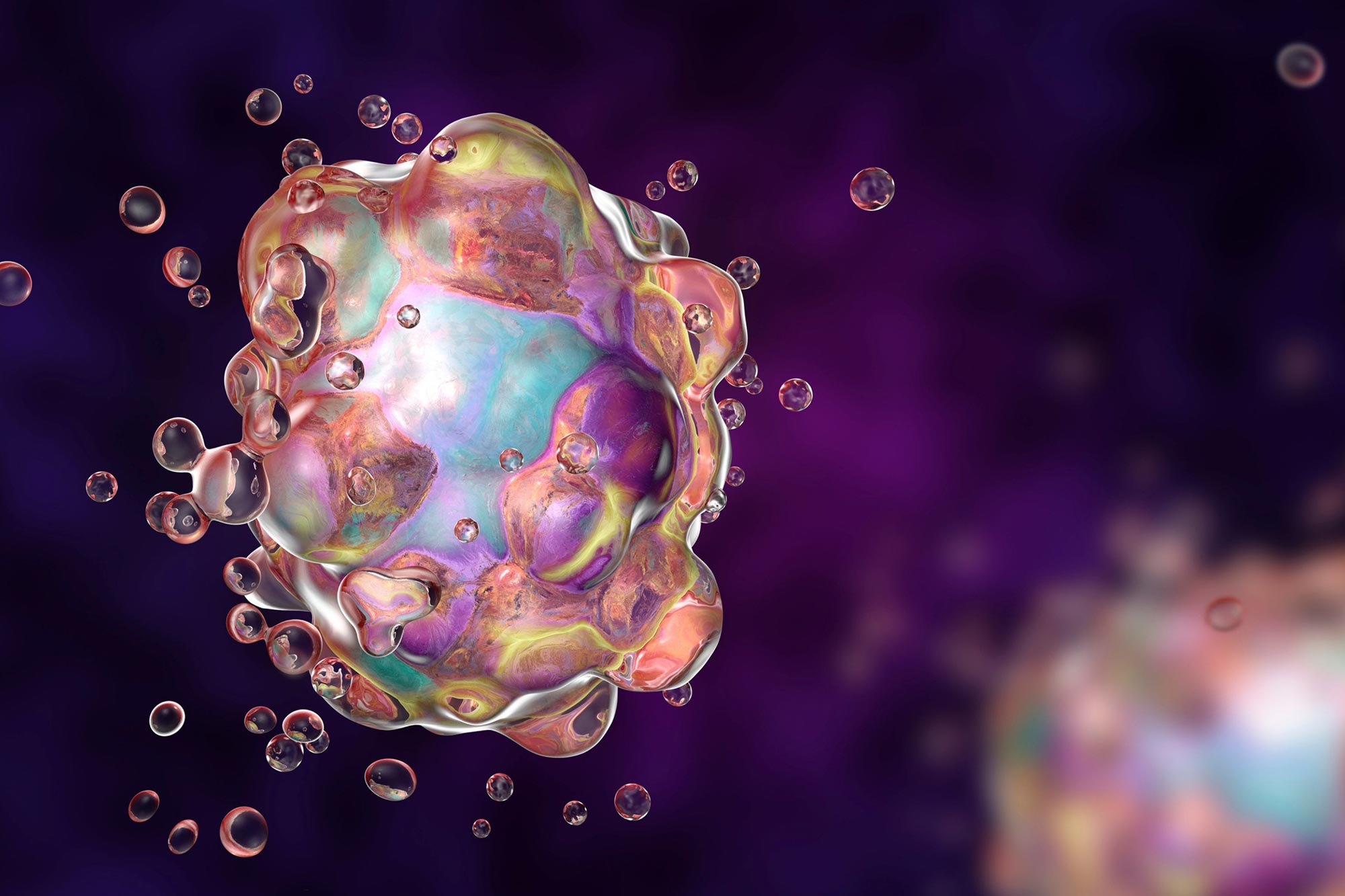 Qui doit mourir et qui doit vivre: Mécanical Cue est à l'origine de la décision de mort cellulaire