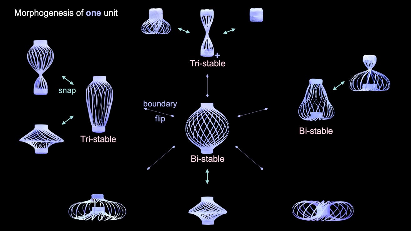 Cette lanterne en polymère qui change de forme se déplace comme si elle était vivante