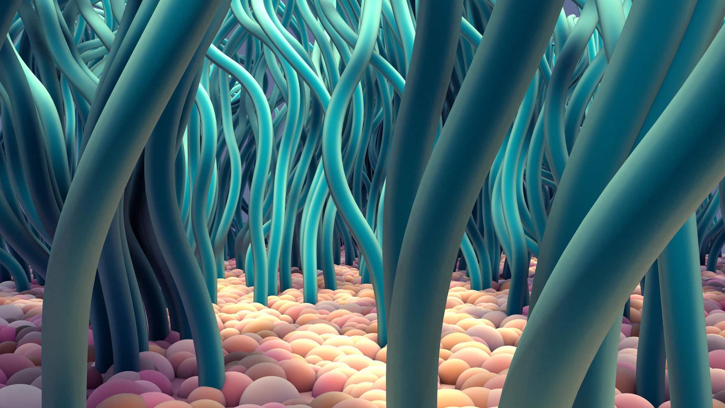 Les structures de minuscules cheveux pourraient aider à traiter les maladies pulmonaires comme Covid-19