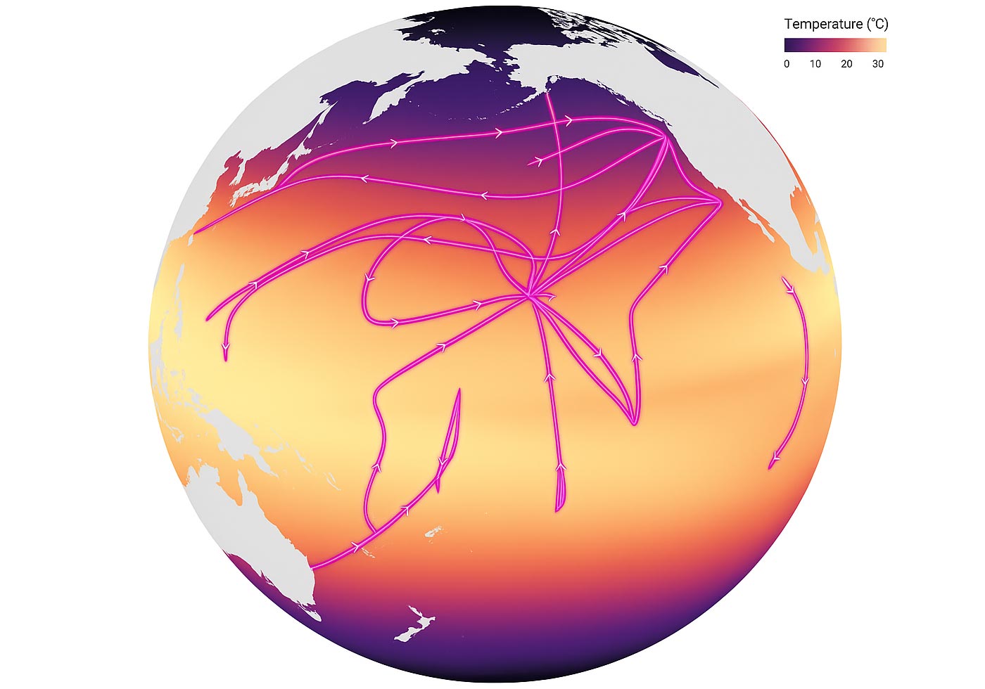 La forme de vie la plus abondante de l'océan peut ne pas survivre au réchauffement climatique