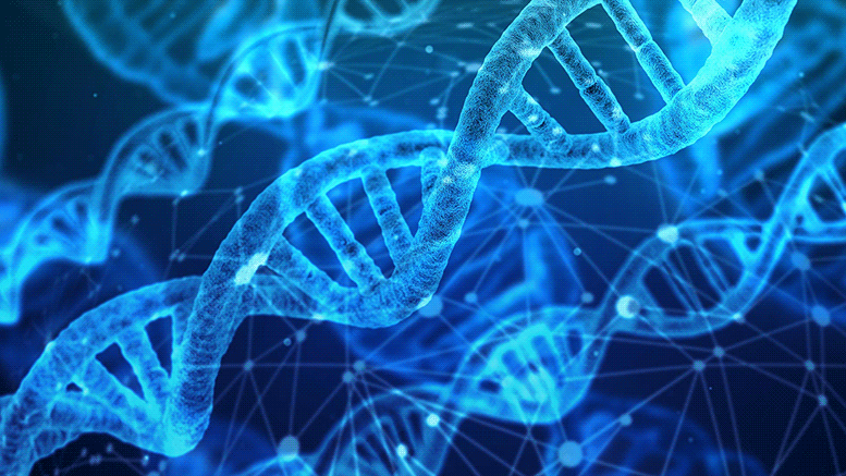 Les scientifiques découvrent le mystère de la méthylation de l'ADN