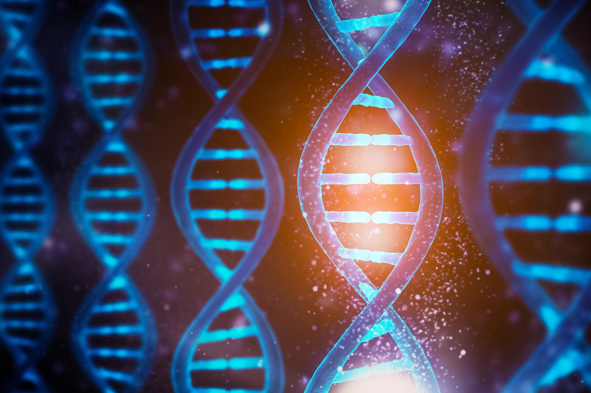 Les scientifiques ont décrypté le «code mécanique» de l'ADN