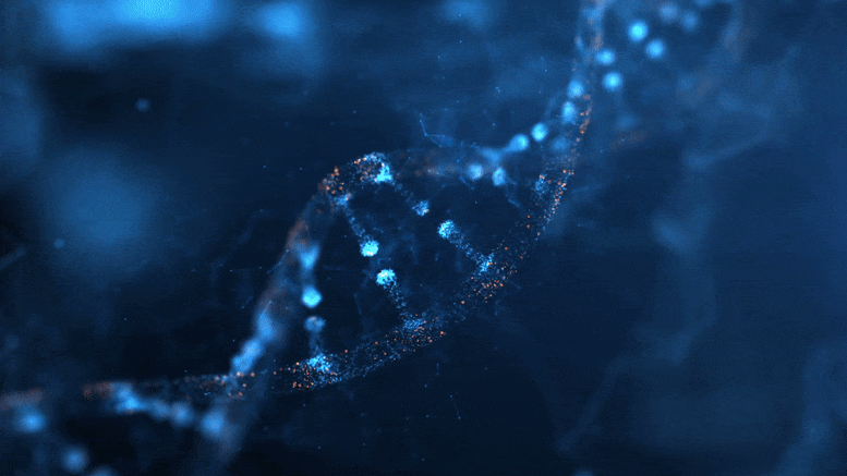 Résoudre un mystère d'ADN: "La chose bizarre à propos de l'ADN bouillonnant"