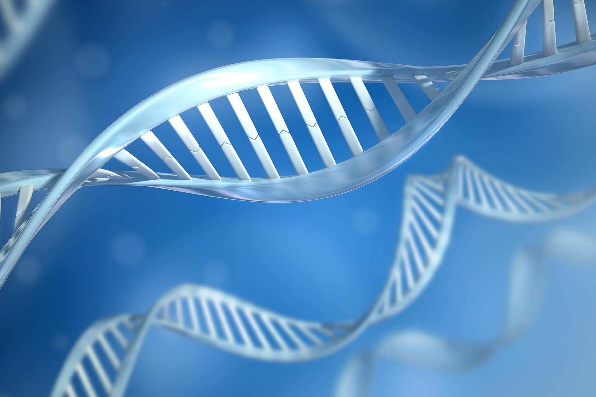 L'ADN n'est qu'un parmi des millions de molécules génétiques possibles 