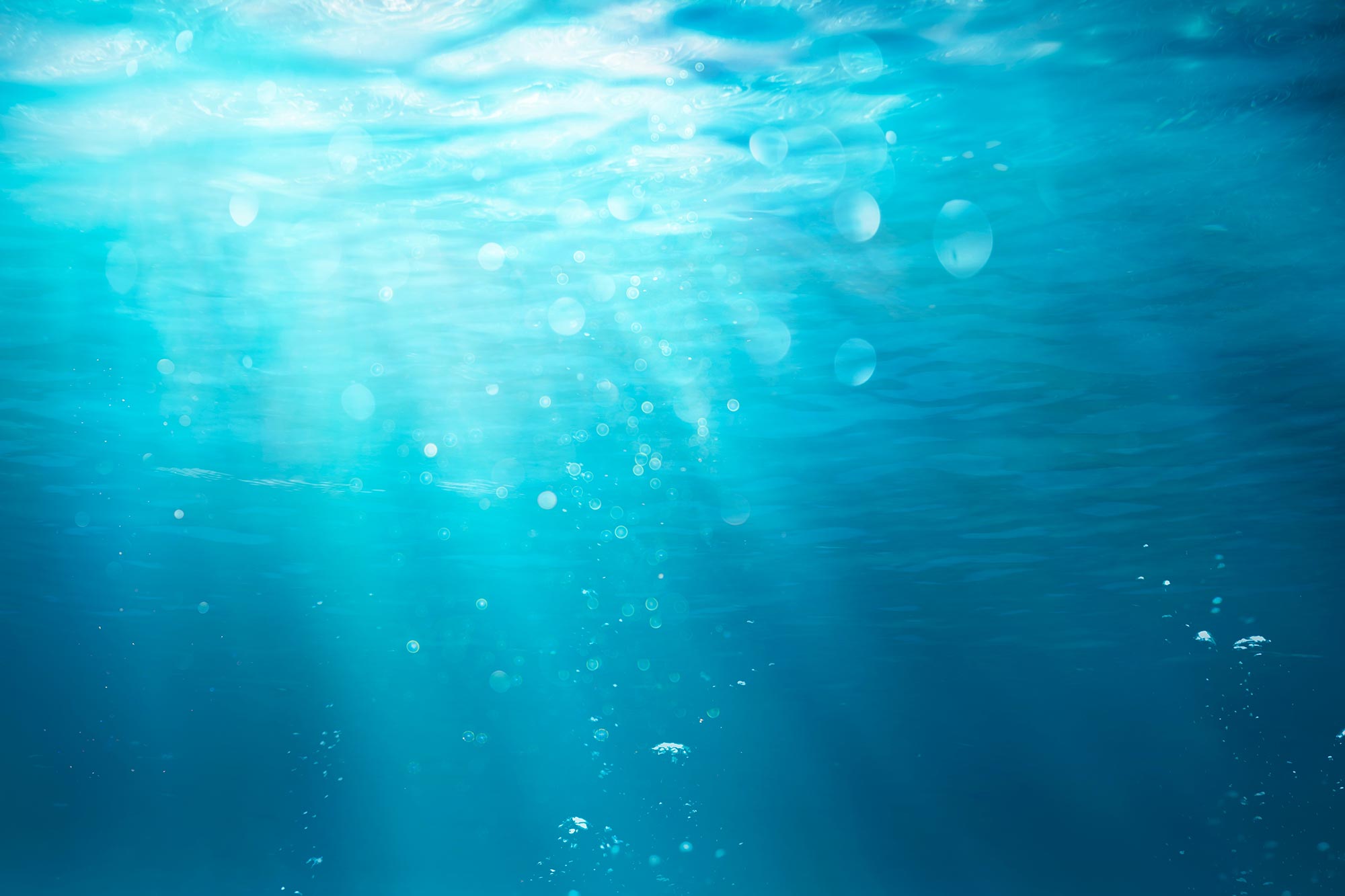 Une source cachée de CO₂ en hiver découverte dans l’océan Austral change les mathématiques du climat