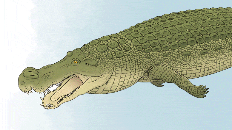 Les crocodiles de terreur avec «les dents de la taille des bananes» s'attaquent même aux plus grands dinosaures