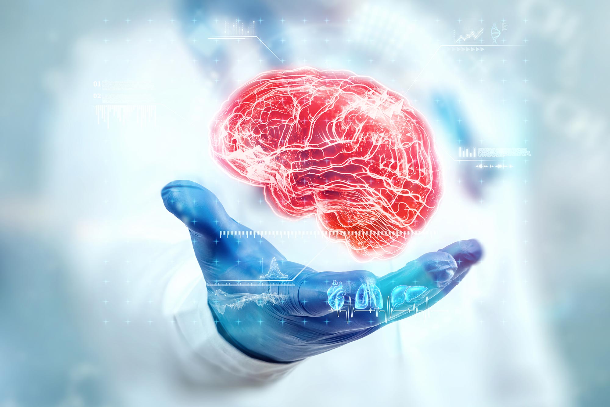 Le vieillissement réécrit le code des protéines du cerveau