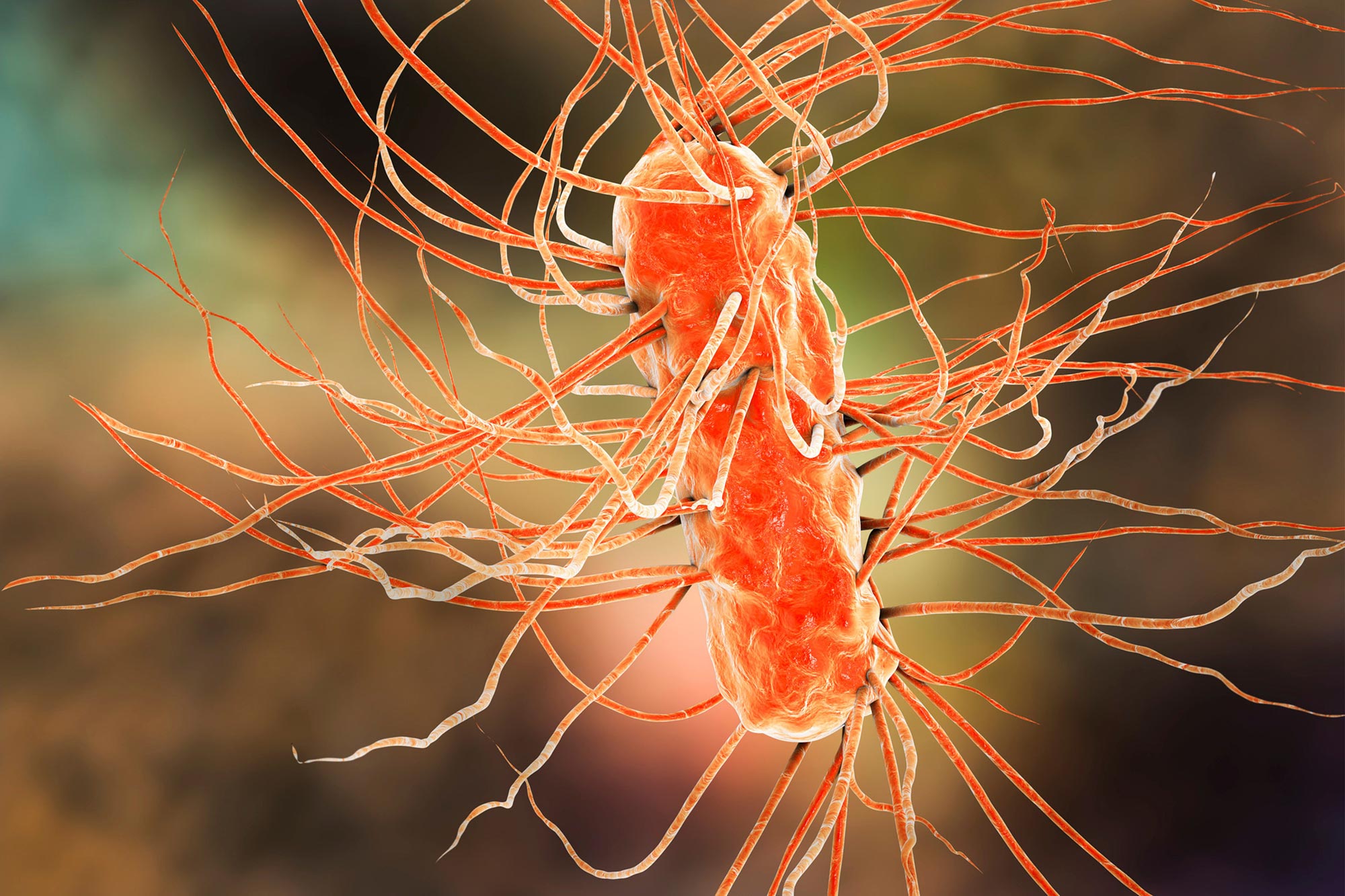 E. coli suralimenté: L'avenir de la production chimique respectueuse de l'environnement