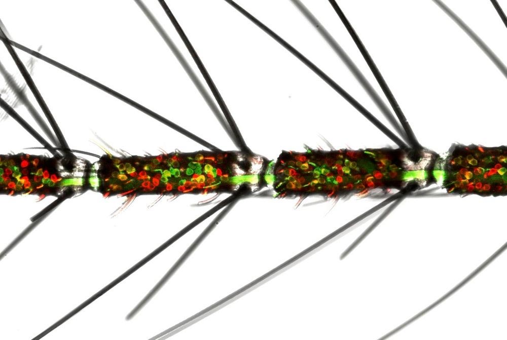Déverrouiller le mystère: comment les moustiques sentent les humains