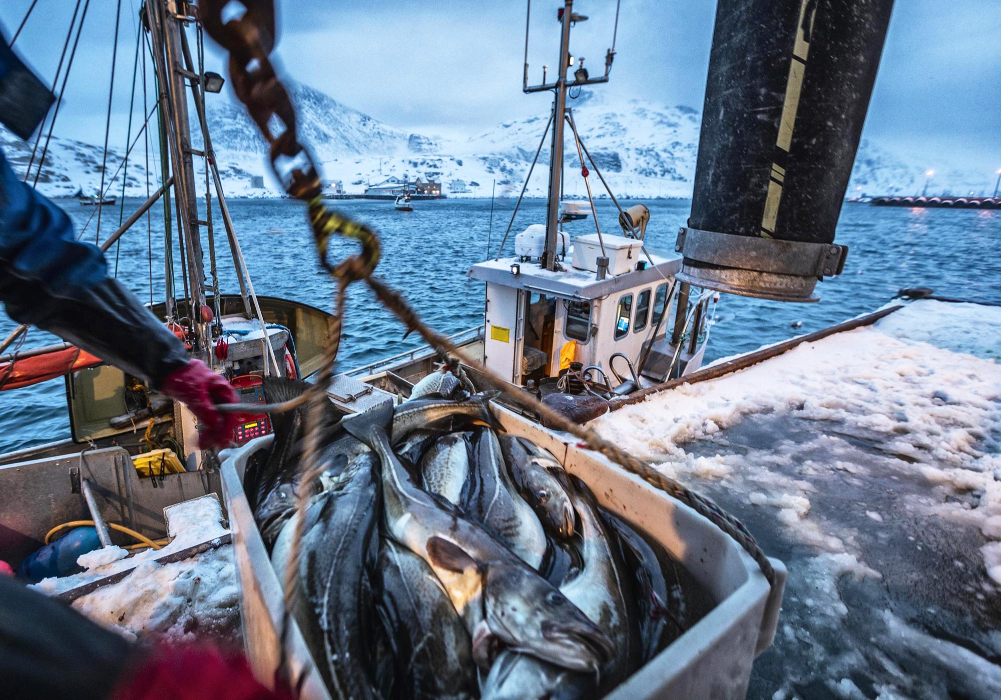 L'industrie américaine des fruits de mer pataugeait en raison de Covid-19 