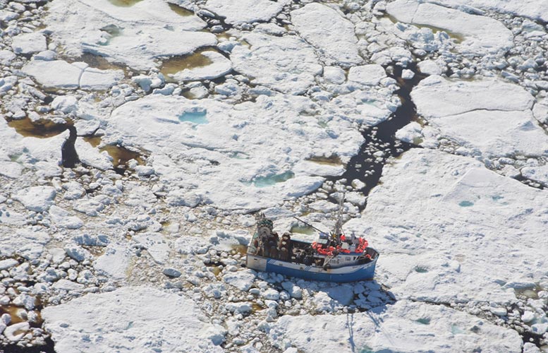 Ice de mer de l'Arctique Un danger de printemps pour les navires de l'Atlantique Nord