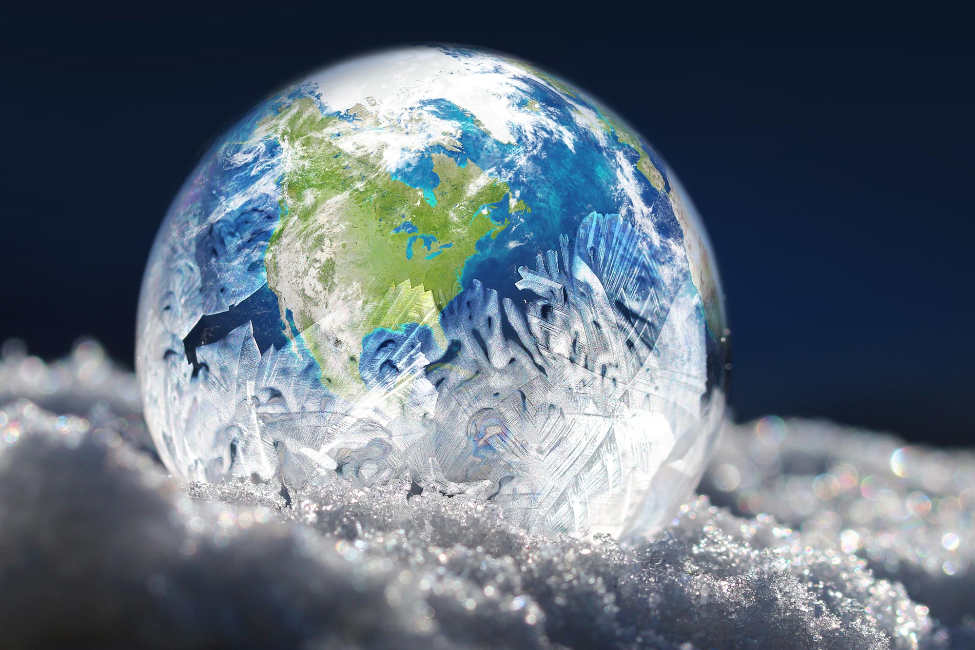 Des scientifiques découvrent des forêts de la période glaciaire dans le « monde perdu » englouti de la mer du Nord