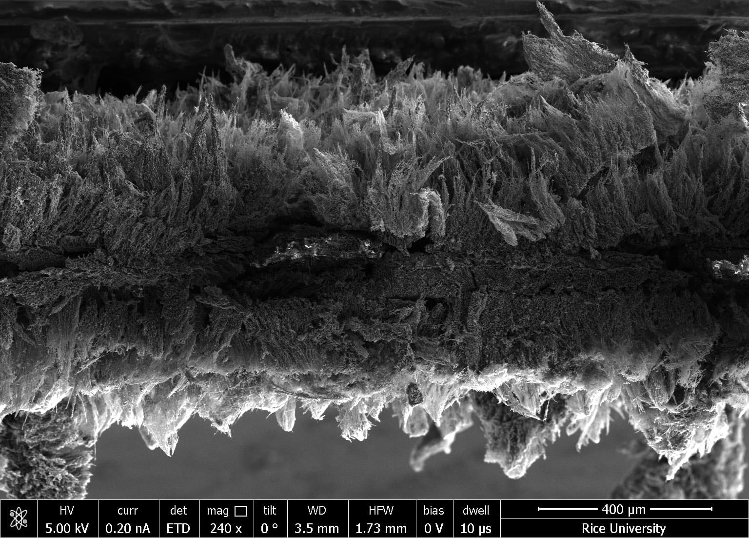 Pièges de filtre à graphène induits par le laser et termine des bactéries