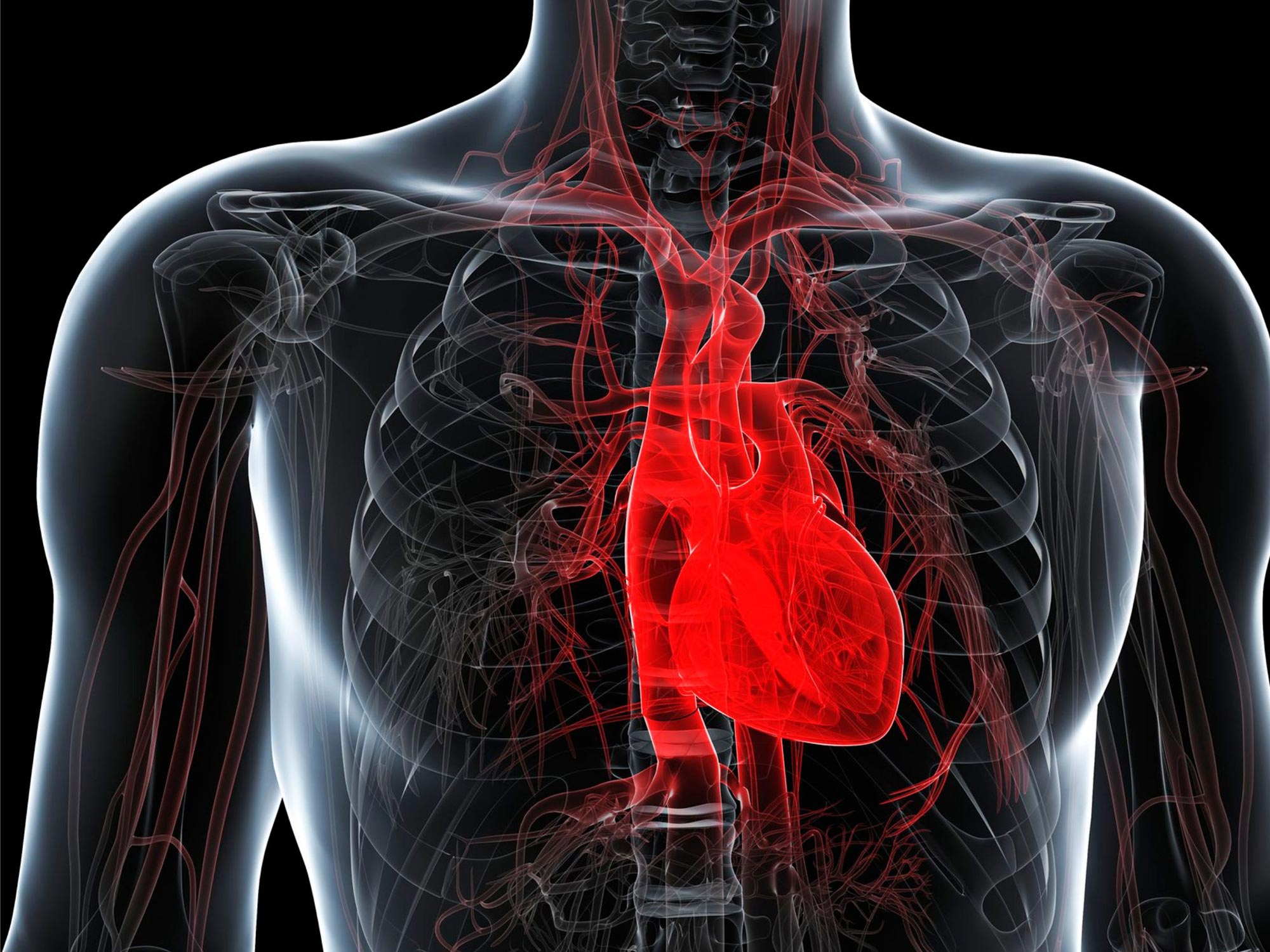 Médicaments populaires pour perdre du poids qui réduisent le risque de crise cardiaque et d'accident vasculaire cérébral