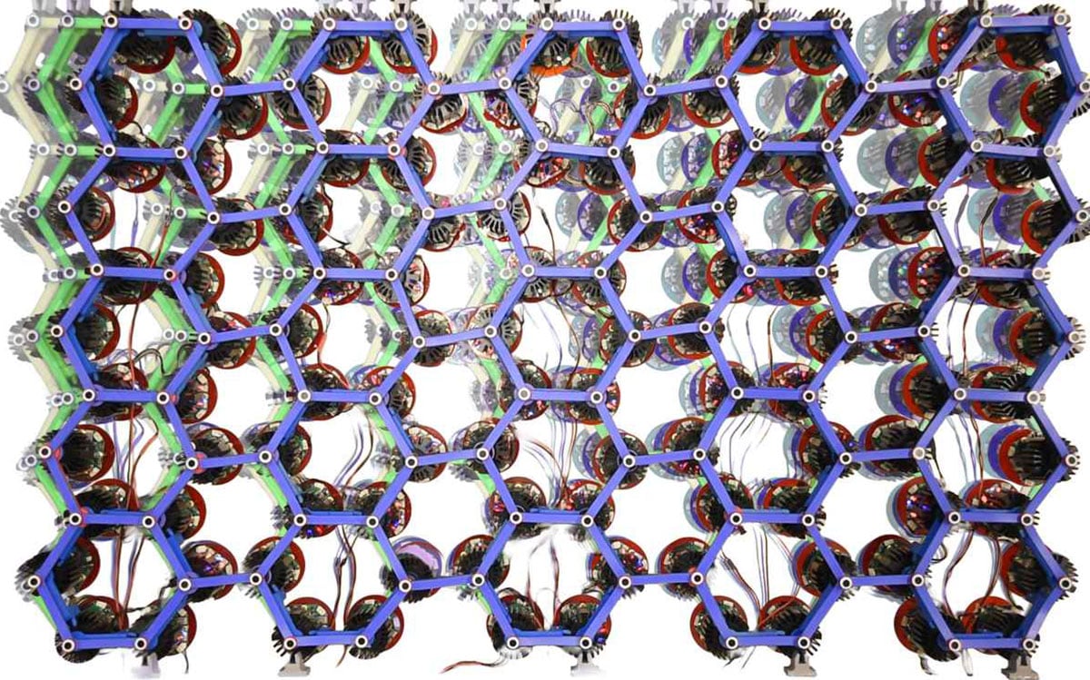Les scientifiques créent des matériaux « vivants » qui rampent, marchent et creusent par eux-mêmes
