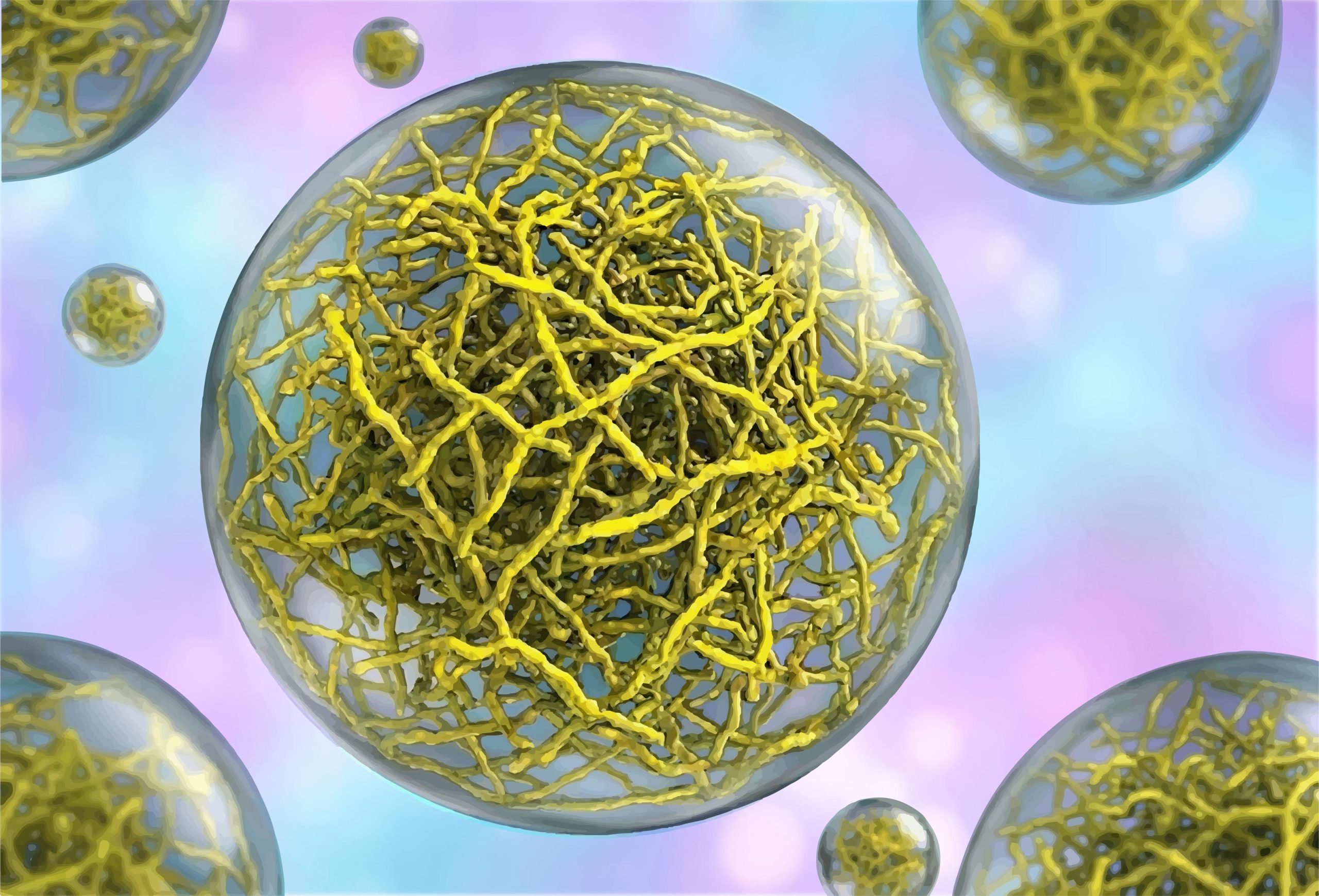 Des scientifiques découvrent une structure cachée à l’intérieur des gouttelettes « liquides » des cellules