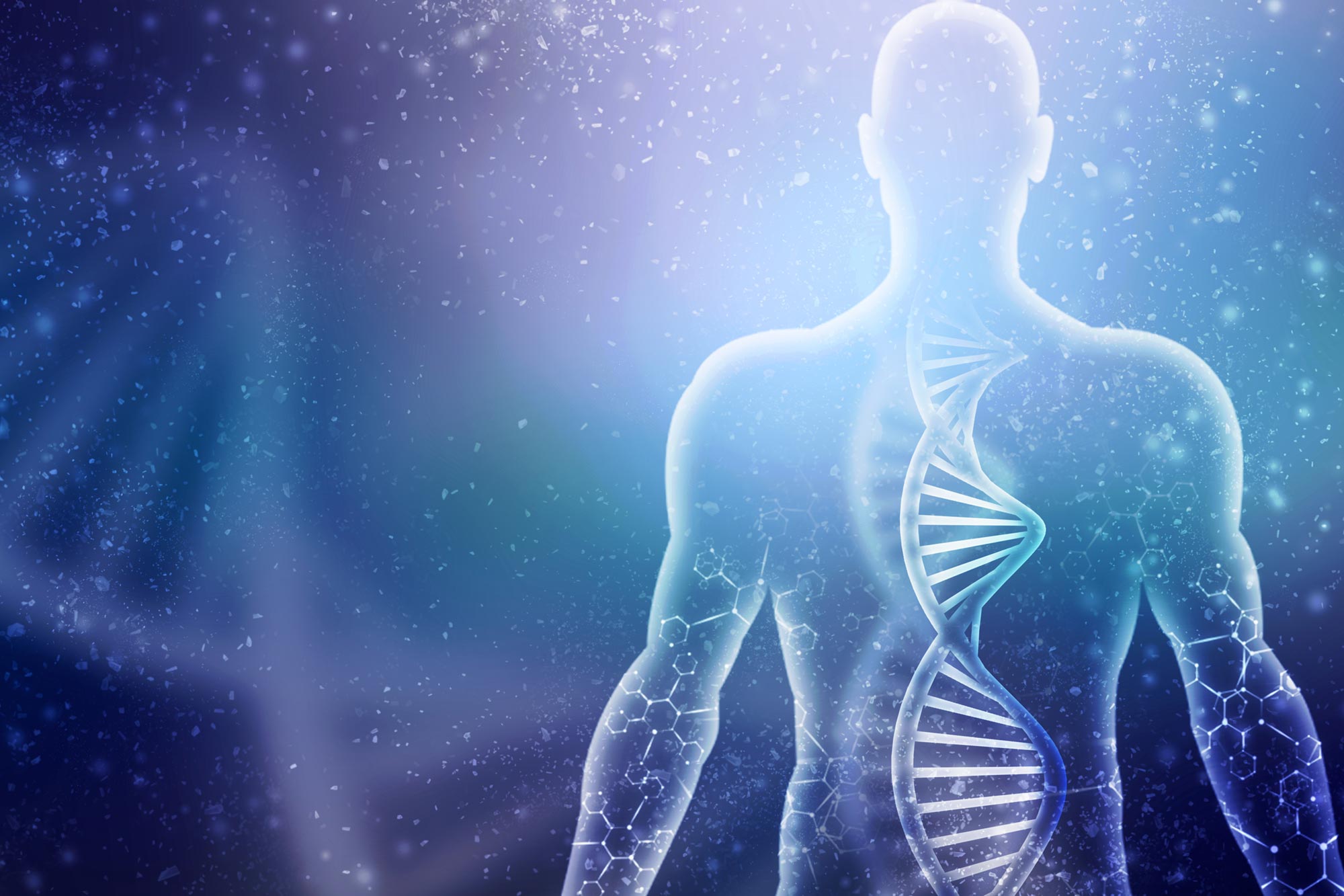 Les humains pourraient-ils repousser des membres ? Une nouvelle étude révèle une voie génétique prometteuse