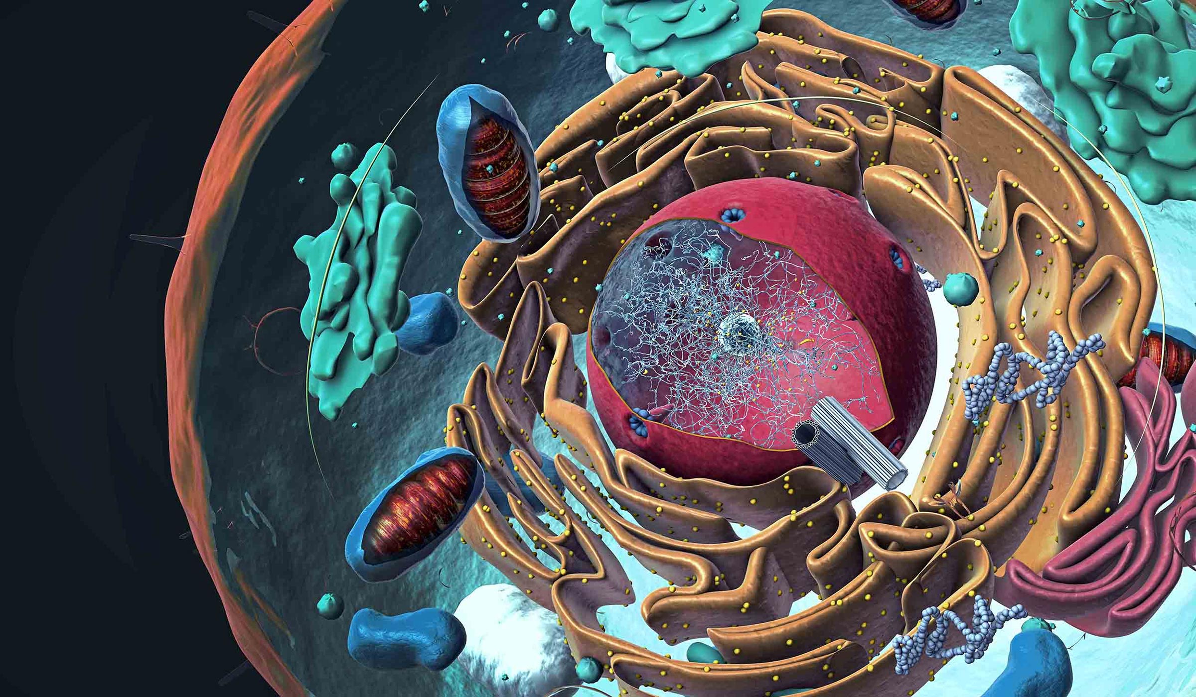 Les nouveaux pairs technologiques aux signaux électriques à l'intérieur des cellules 