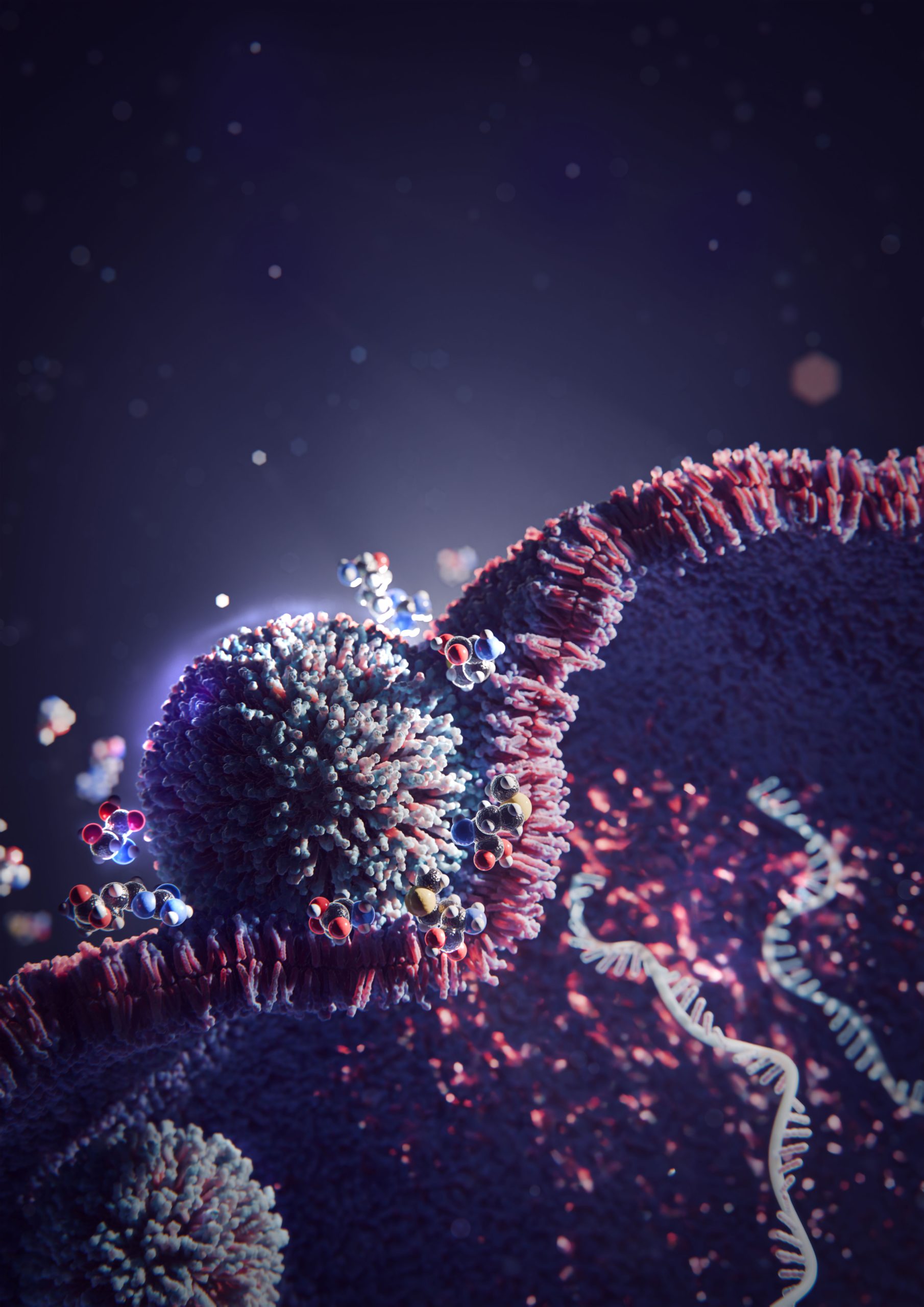 Des scientifiques découvrent une astuce simple qui multiplie par 20 l’administration d’un traitement par ARNm