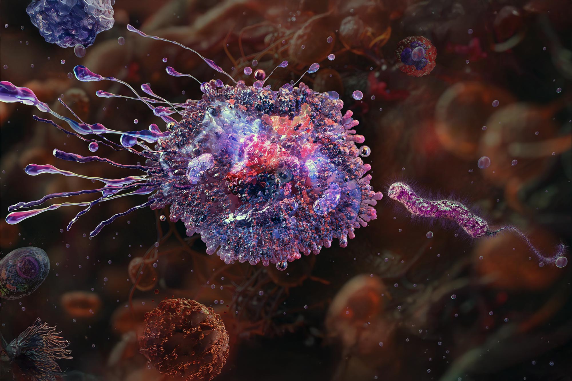 Ce commutateur génétique aide les cellules immunitaires à protéger vos organes