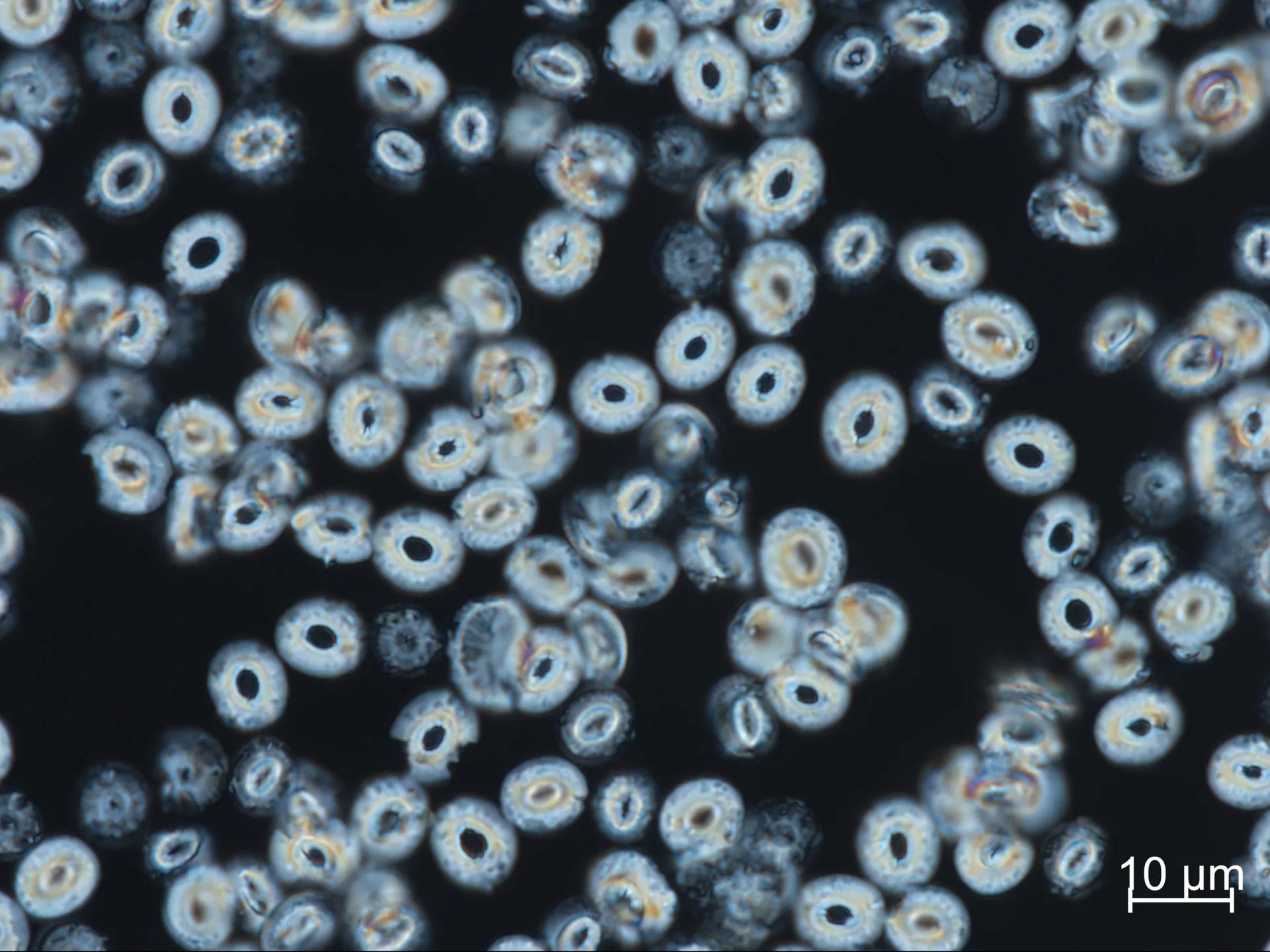 Les scientifiques repensent le réchauffement extrême après une découverte surprenante des océans