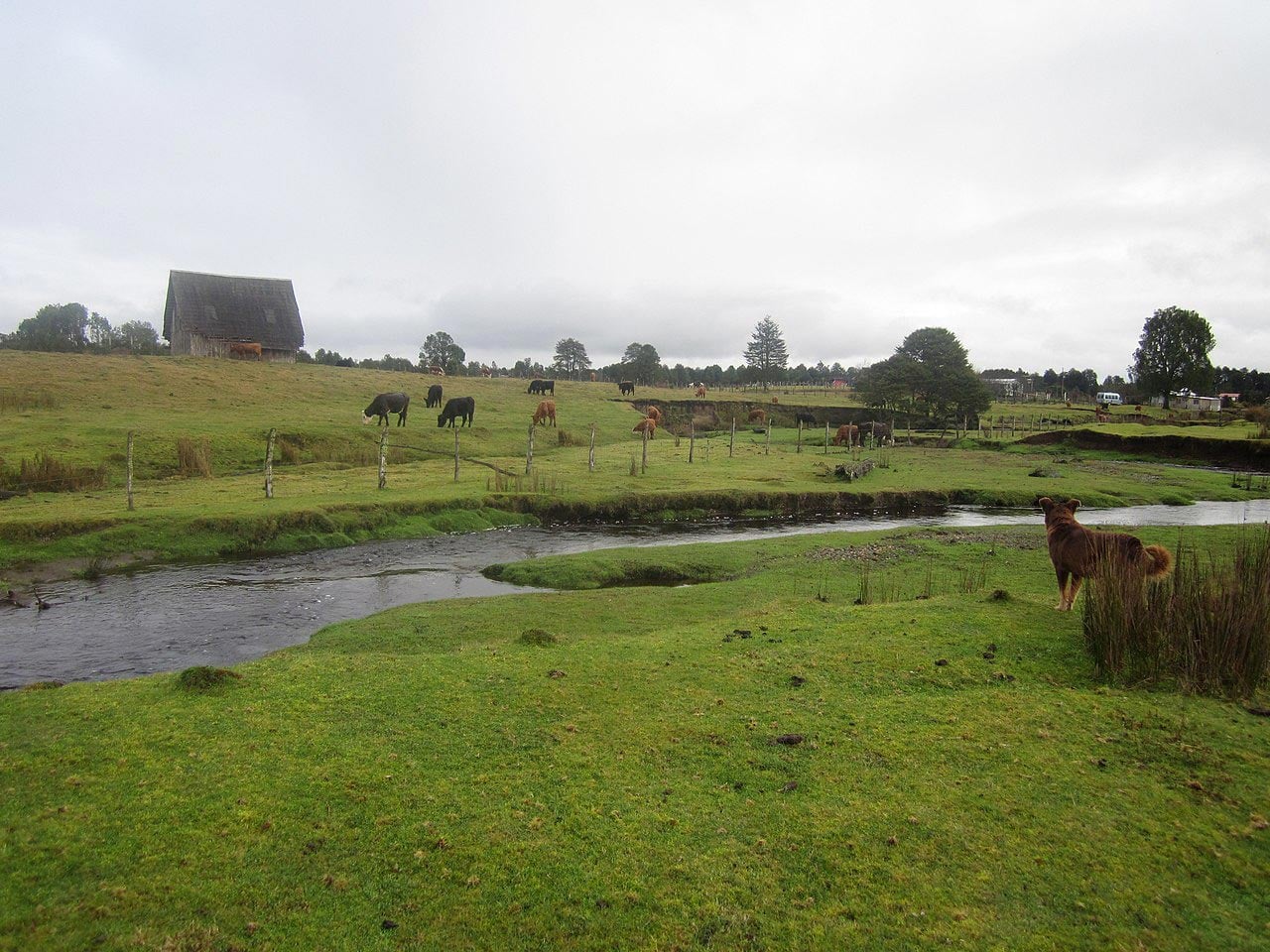 Avons-nous eu tort;? Une nouvelle étude remet en question la chronologie des premiers Américains