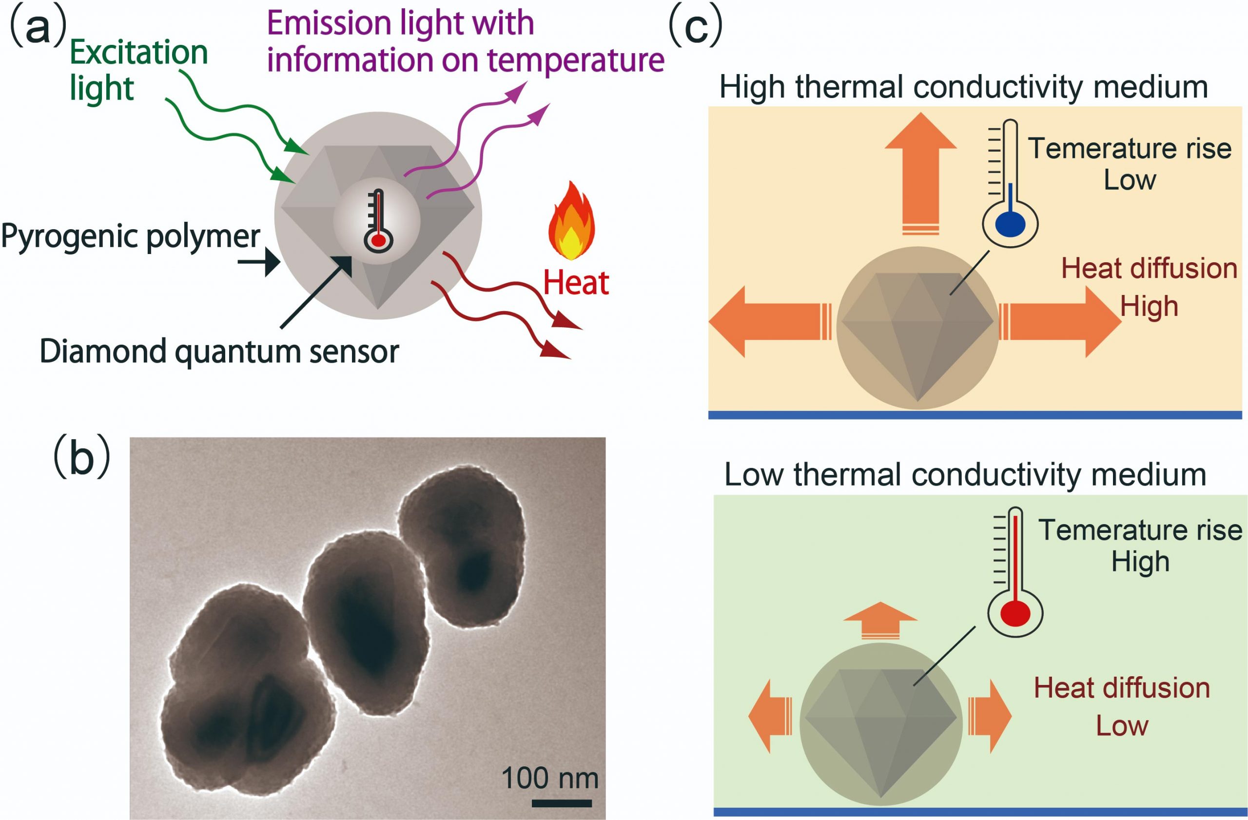 Capteurs en nanodiamond créés qui peuvent agir à la fois comme des sources de chaleur et des thermomètres