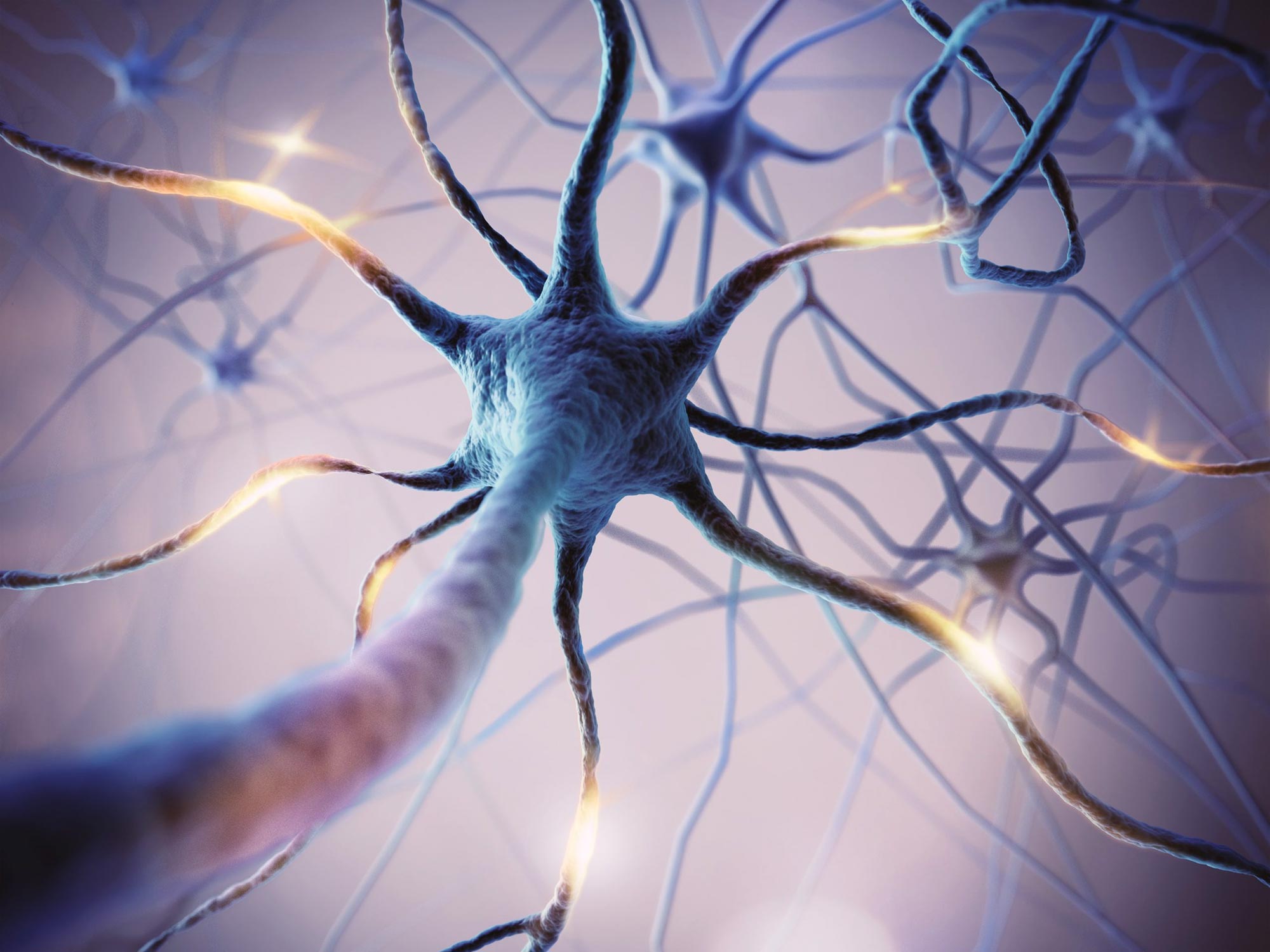 Les scientifiques découvrent de nouvelles cellules cérébrales mystérieuses qui pourraient changer la façon dont nous traitons la maladie d'Alzheimer