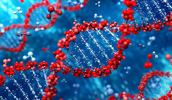 Les chercheurs de Yale découvrent de nouvelles complexités derrière la résistance aux médicaments