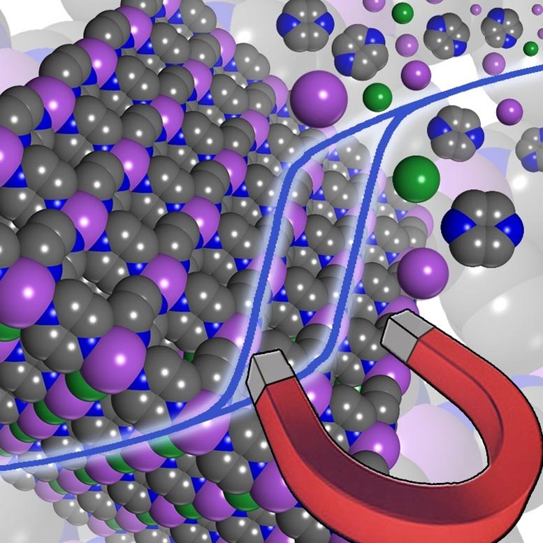 Un nouvel aimant à base de molécules légères présente des propriétés magnétiques sans précédent