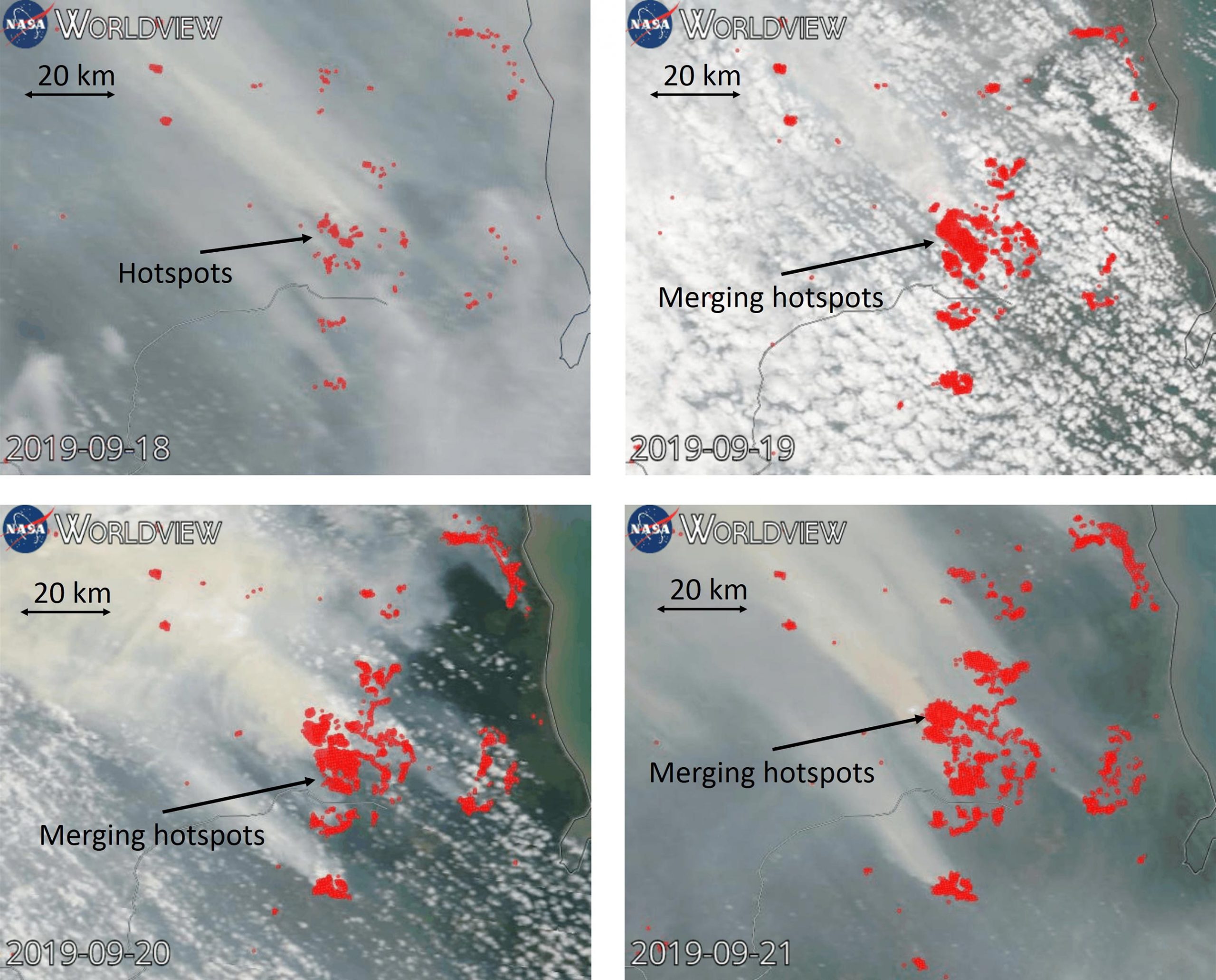 Les «incendies de zombies» dans les tourbières, qui libèrent des quantités dévastatrices de carbone, pourraient être atténuées par de nouvelles découvertes