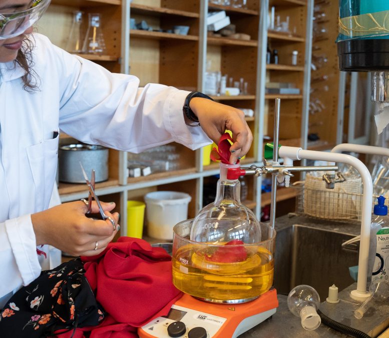 Polyester Dress Cut Up Into Small Pieces