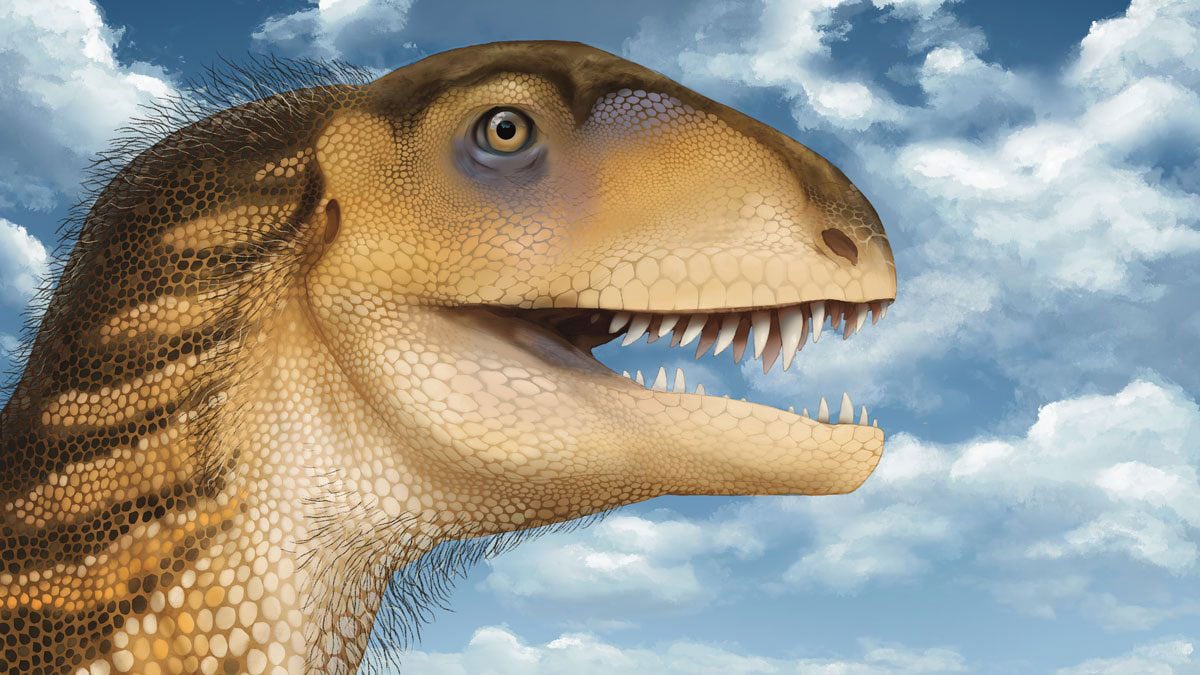 Un étudiant identifie un nouveau dinosaure carnivore bizarre trois fois plus vieux que le T. rex