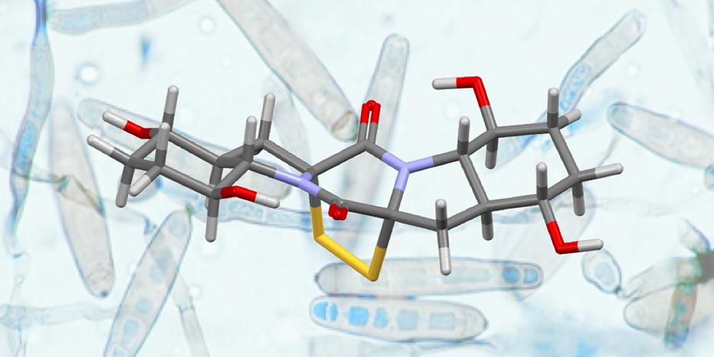 Nouvelle stratégie pour la synthèse de produits naturels complexes