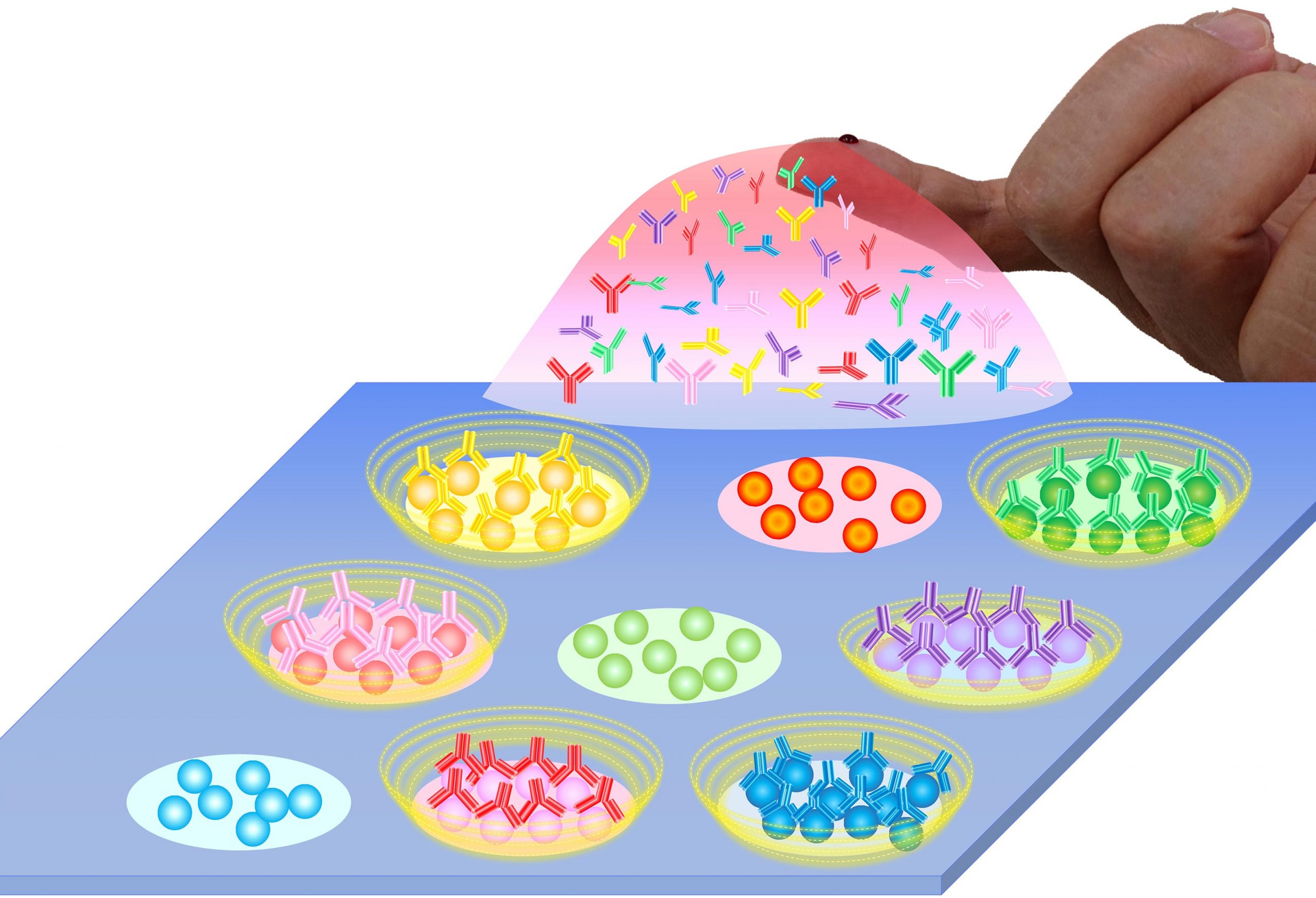 Un nouveau système de diagnostic mesure rapidement et avec précision les anticorps contre le virus Covid-19